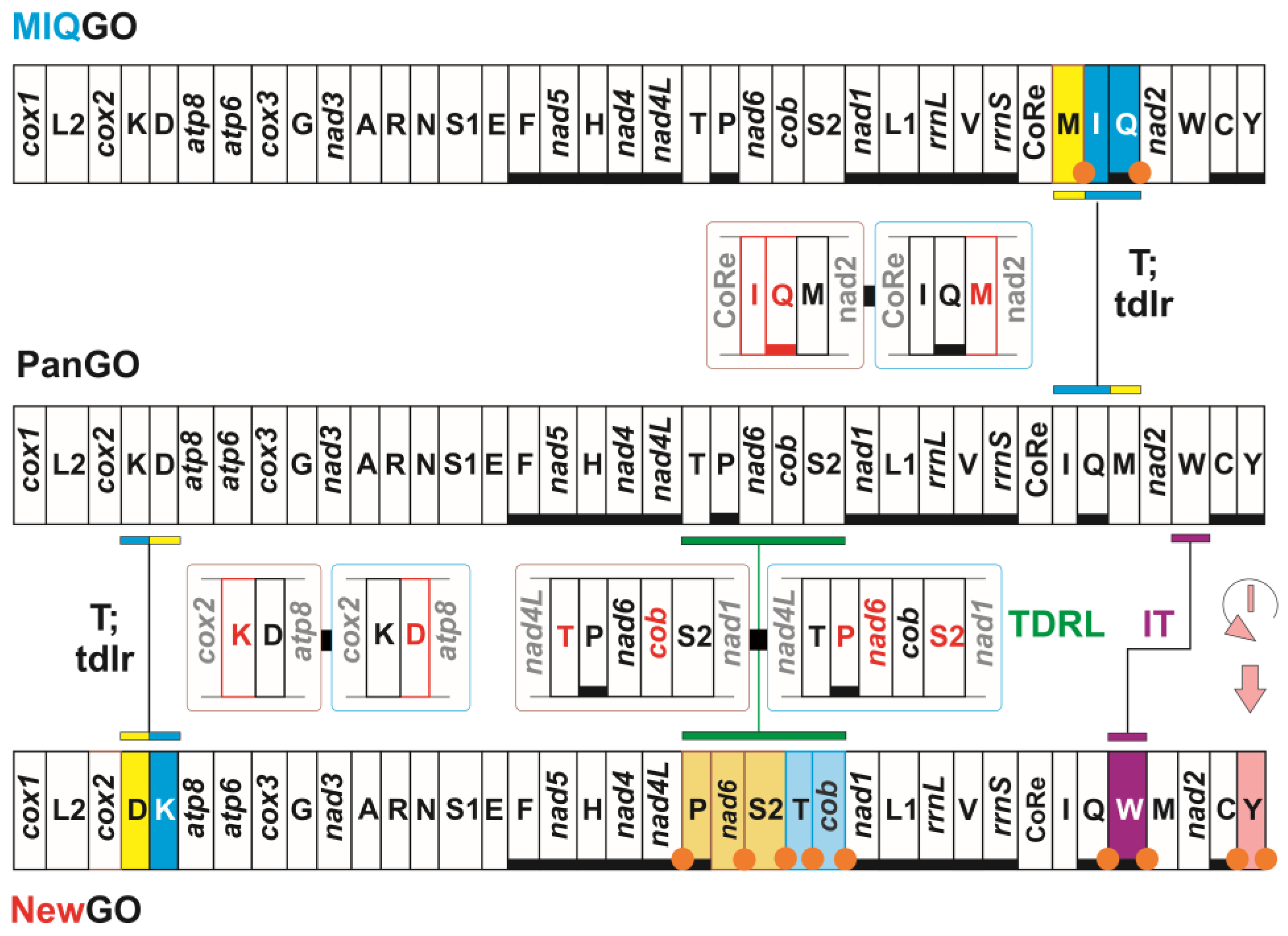 Insects 13 00358 g001