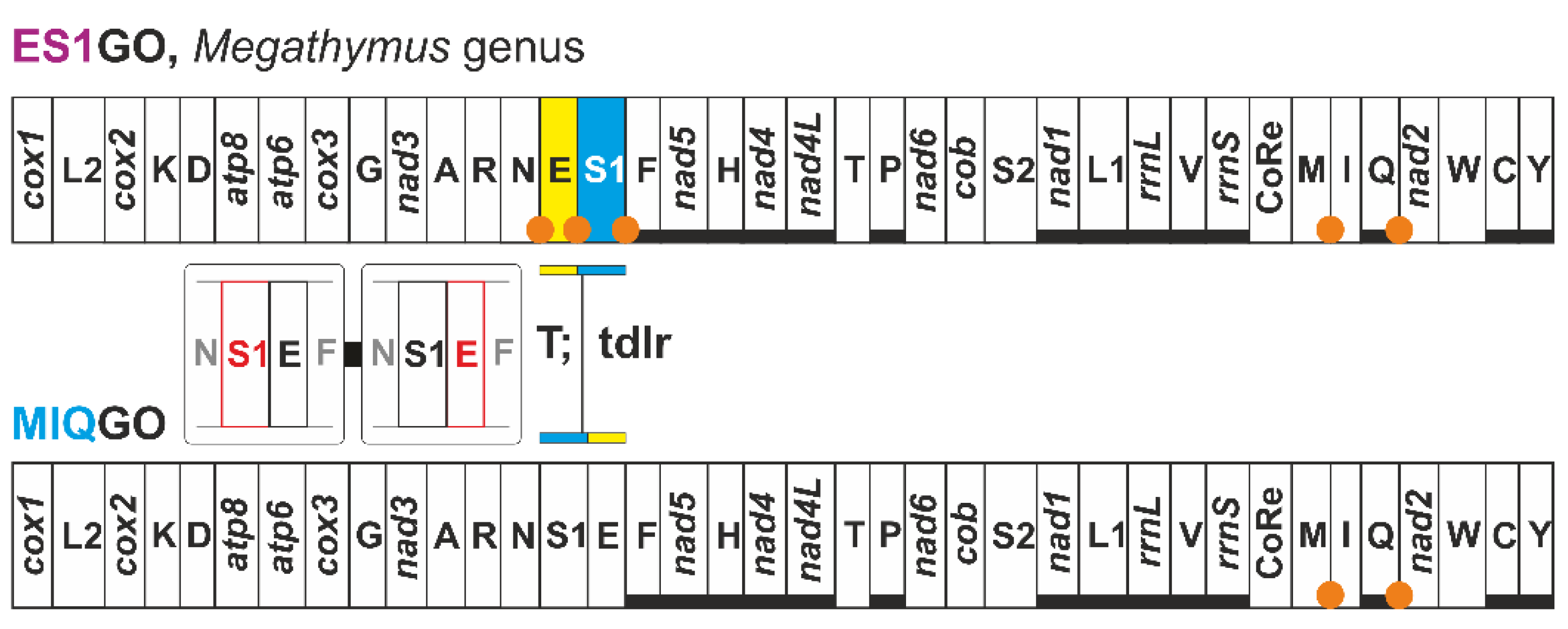 Insects 13 00358 g007