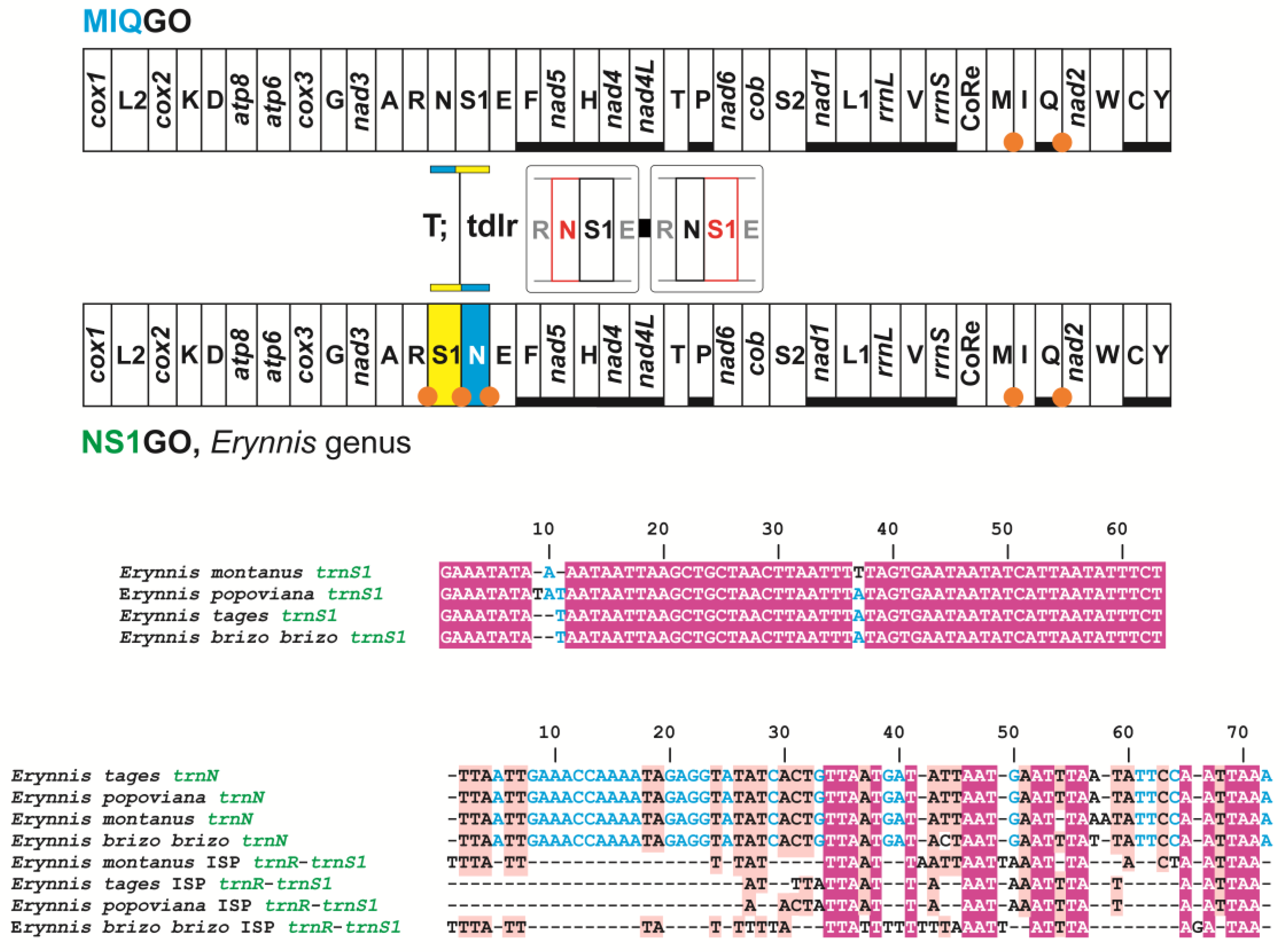 Insects 13 00358 g008