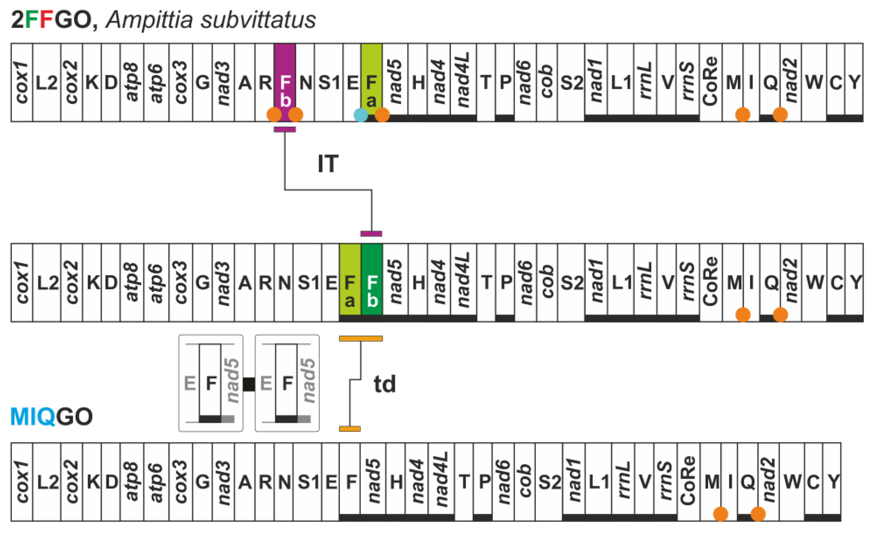 Insects 13 00358 g009