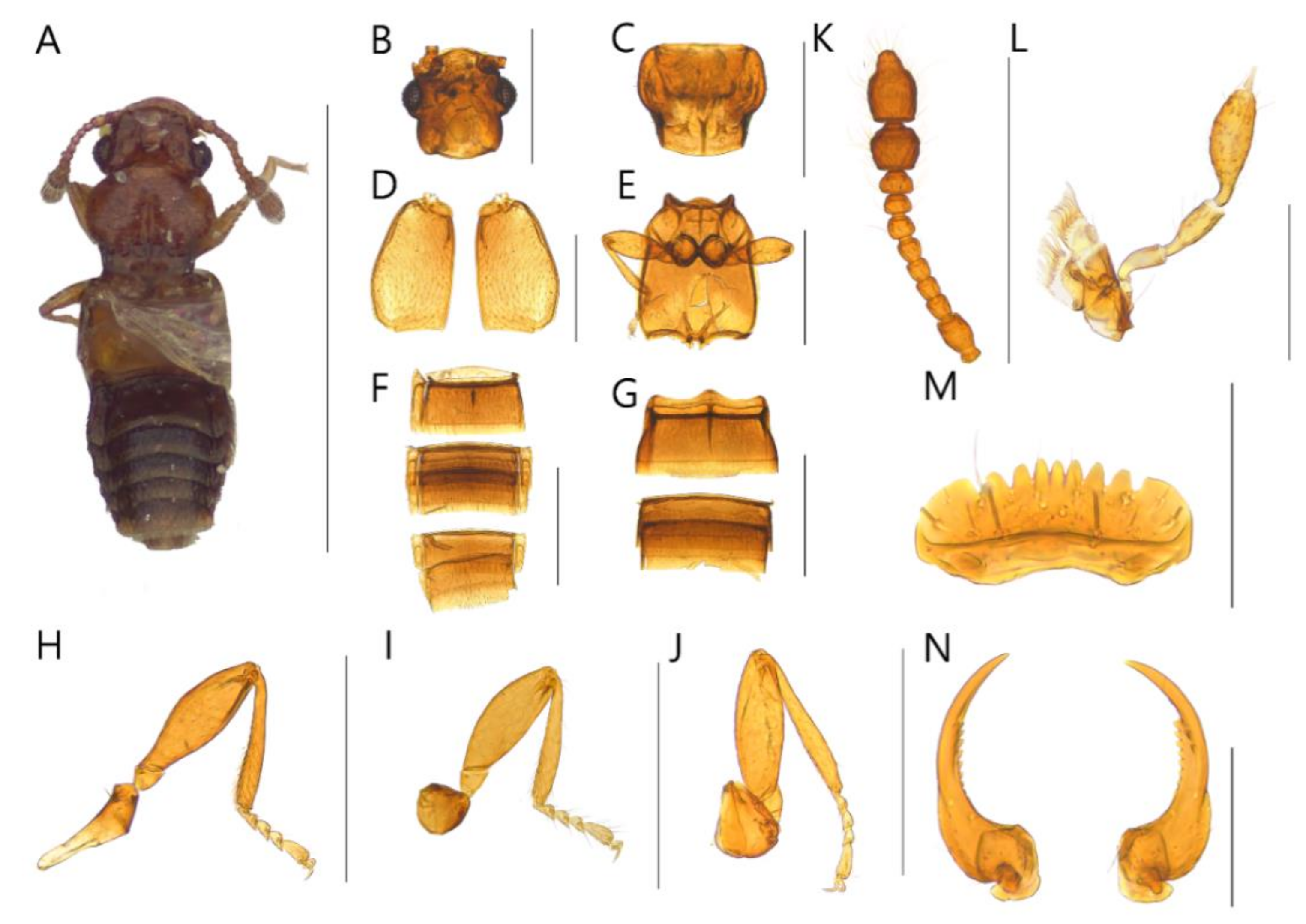 Insects 13 00362 g003