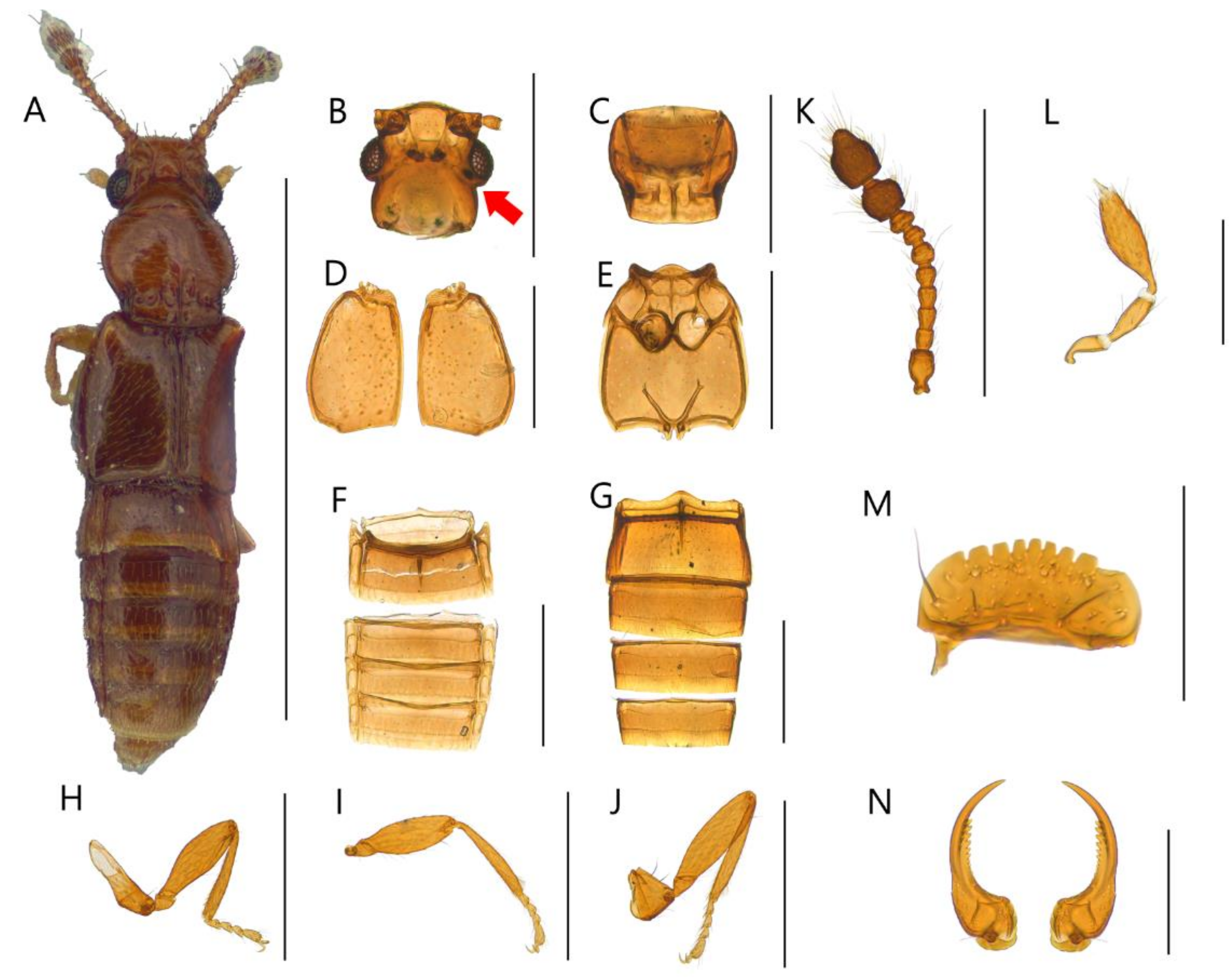 Insects 13 00362 g004