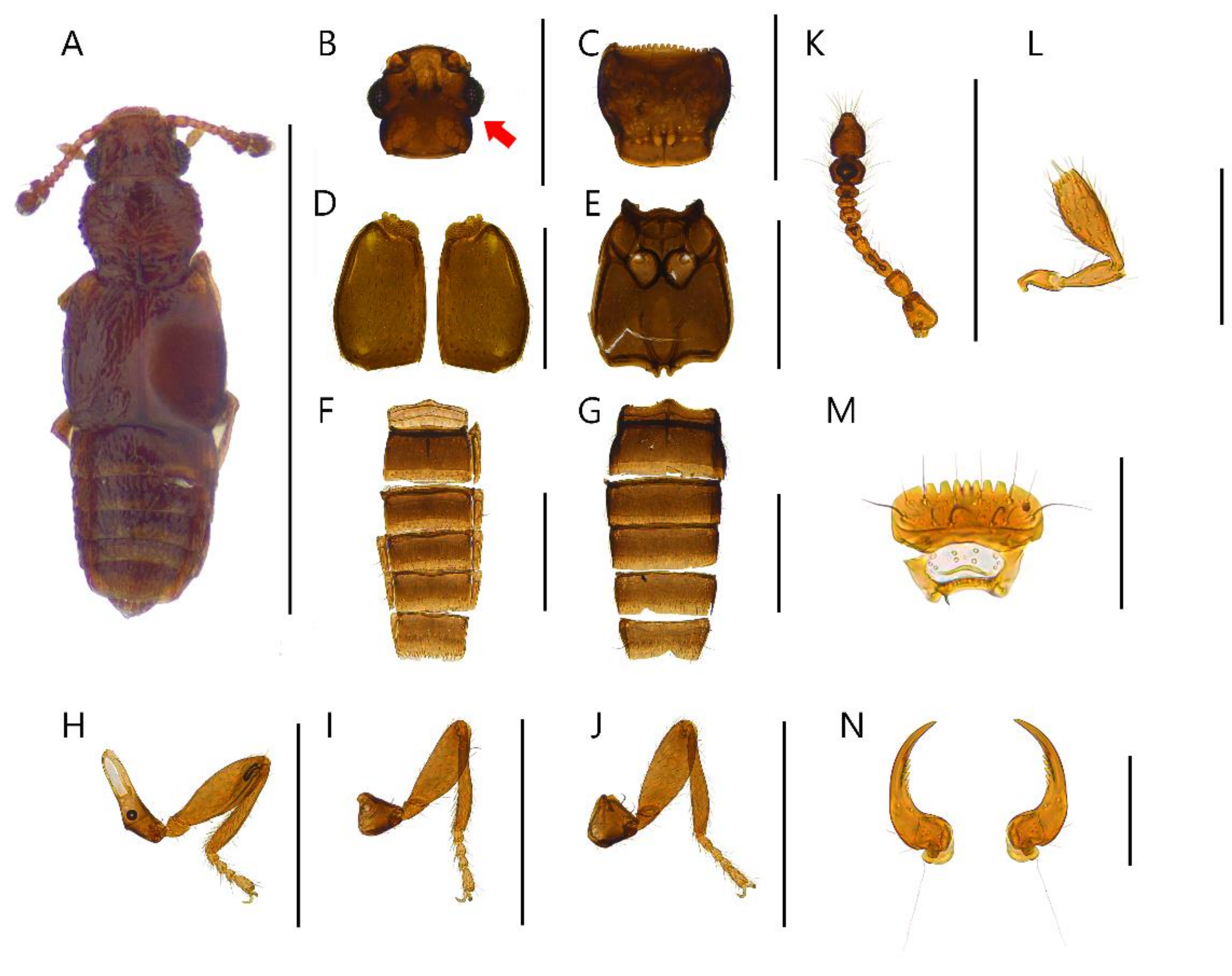 Insects 13 00362 g006