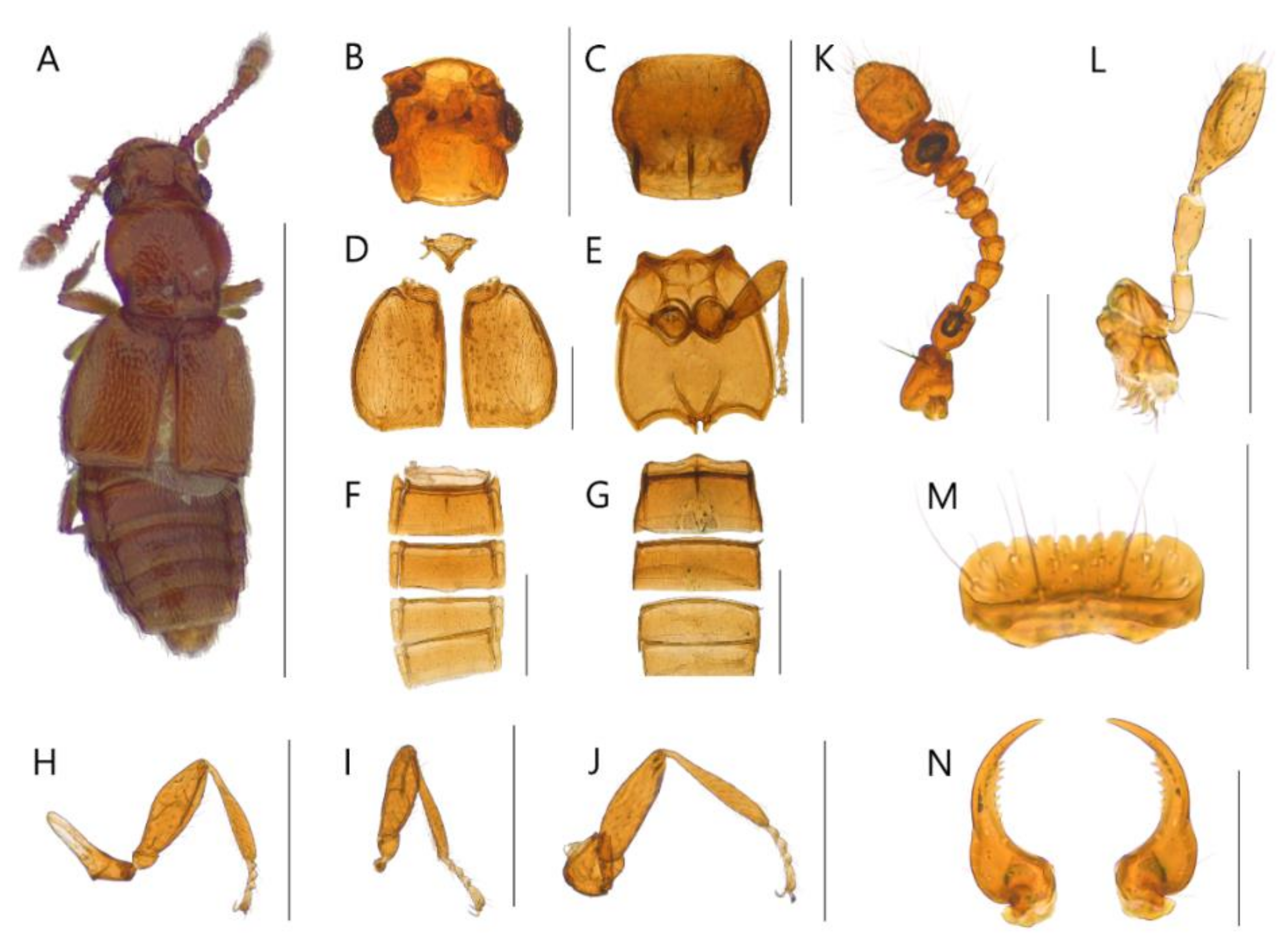 Insects 13 00362 g007