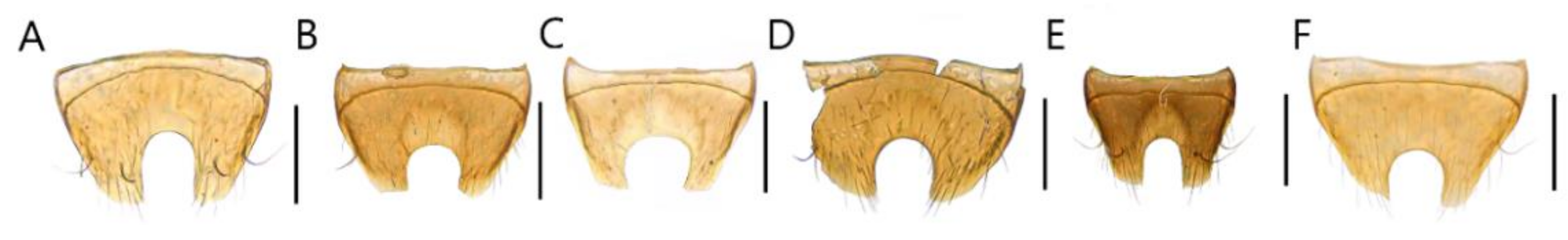 Insects 13 00362 g008