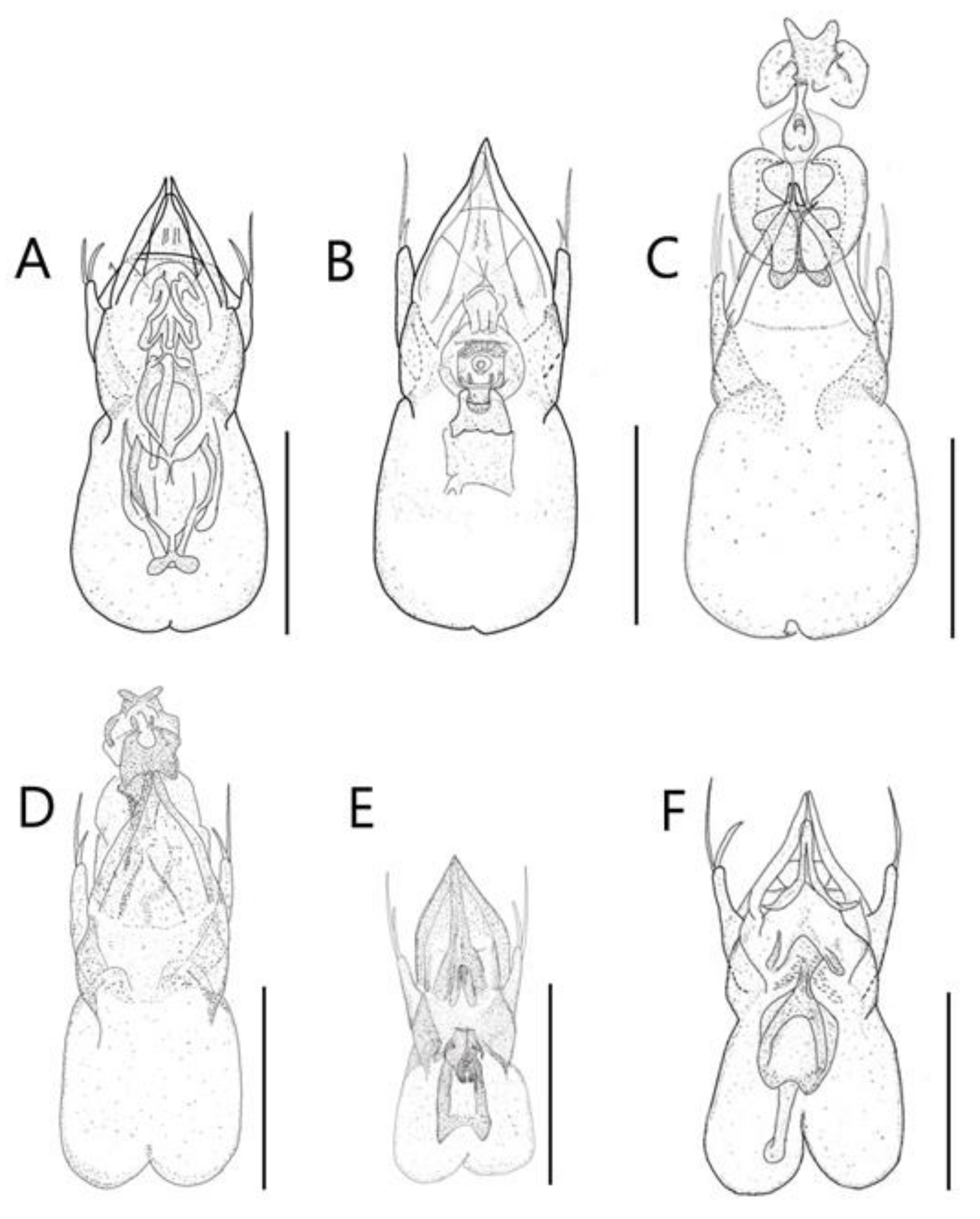 Insects 13 00362 g009