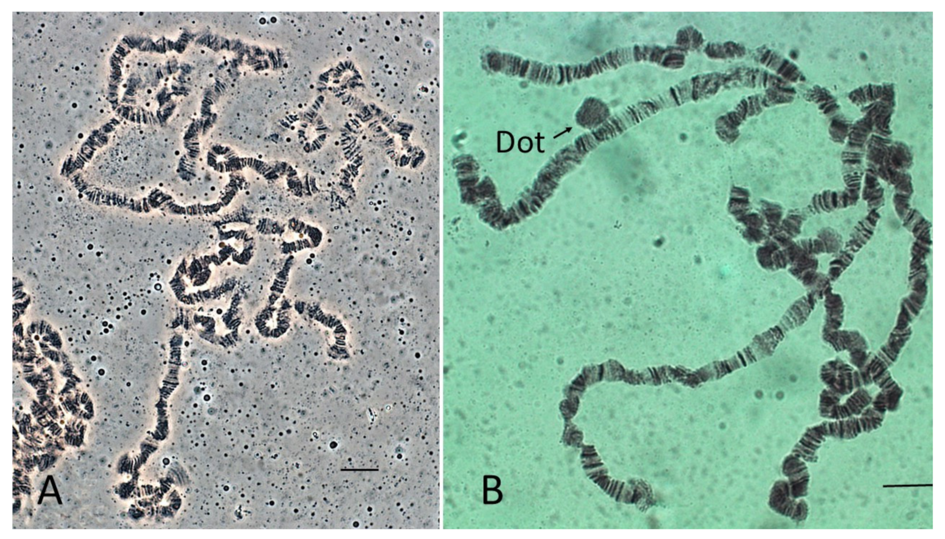 Insects 13 00364 g003