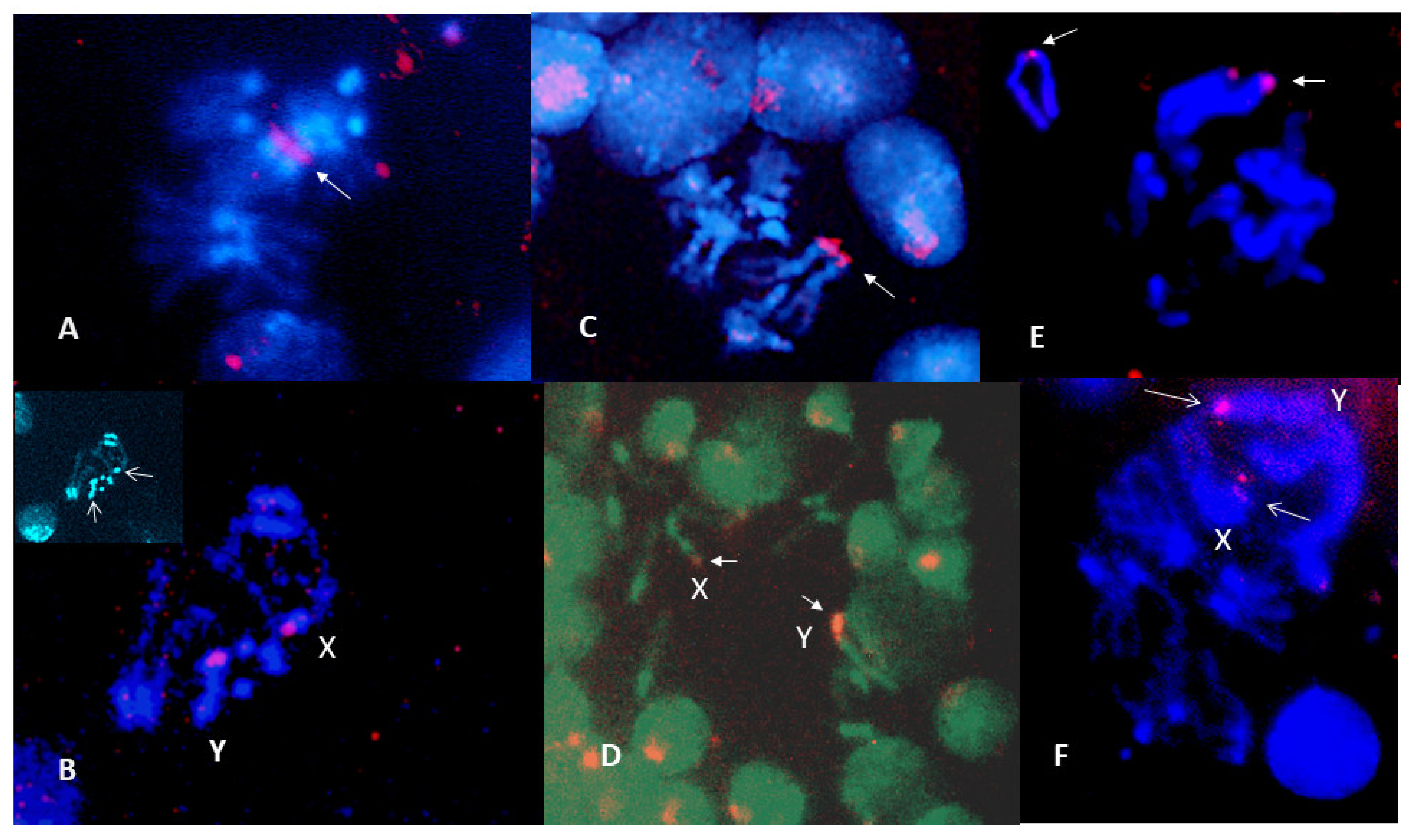 Insects 13 00364 g005