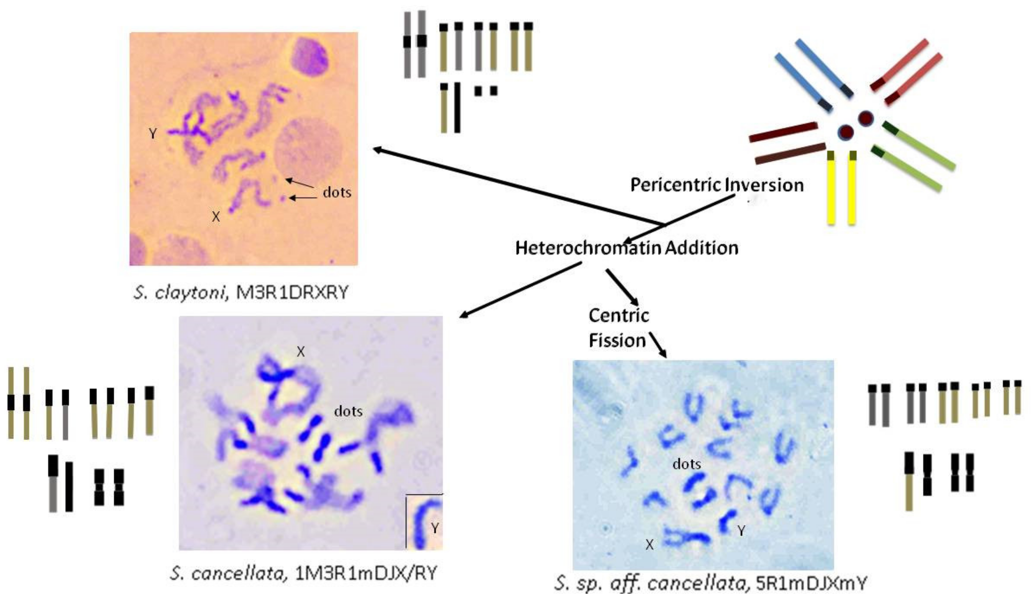 Insects 13 00364 g009