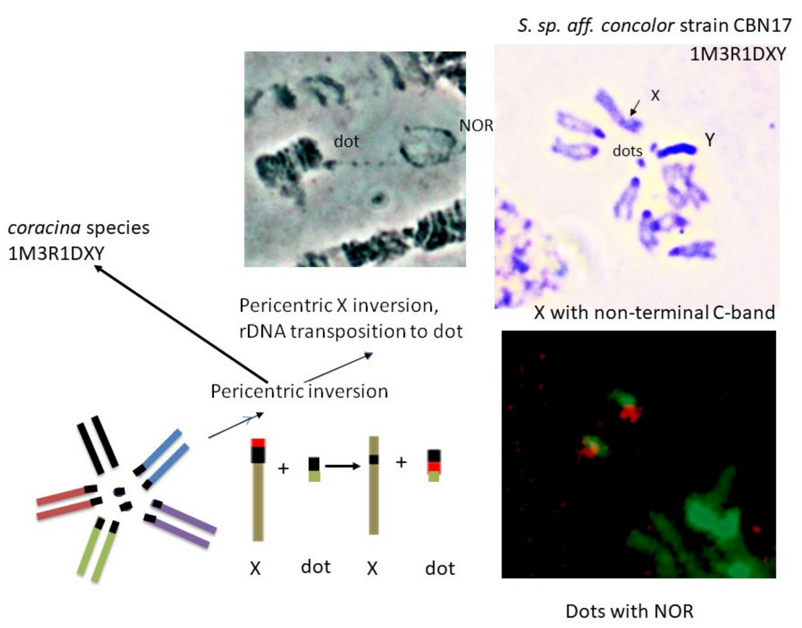 Insects 13 00364 g010