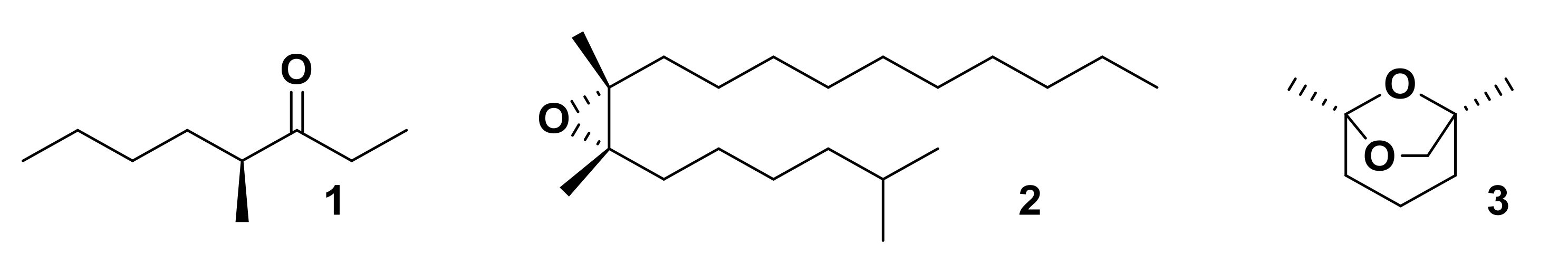 Insects 13 00368 g001