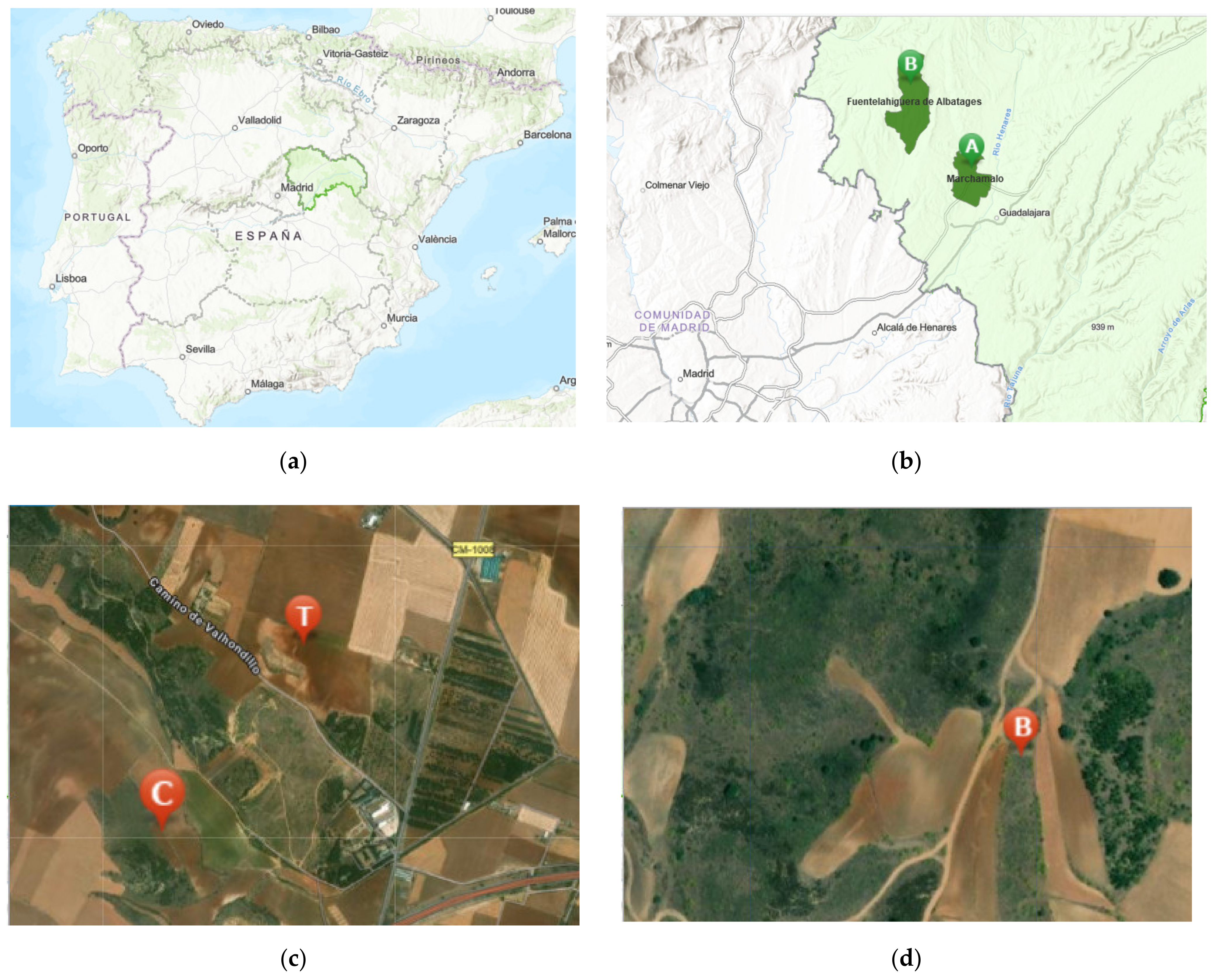 Insects 13 00371 g001