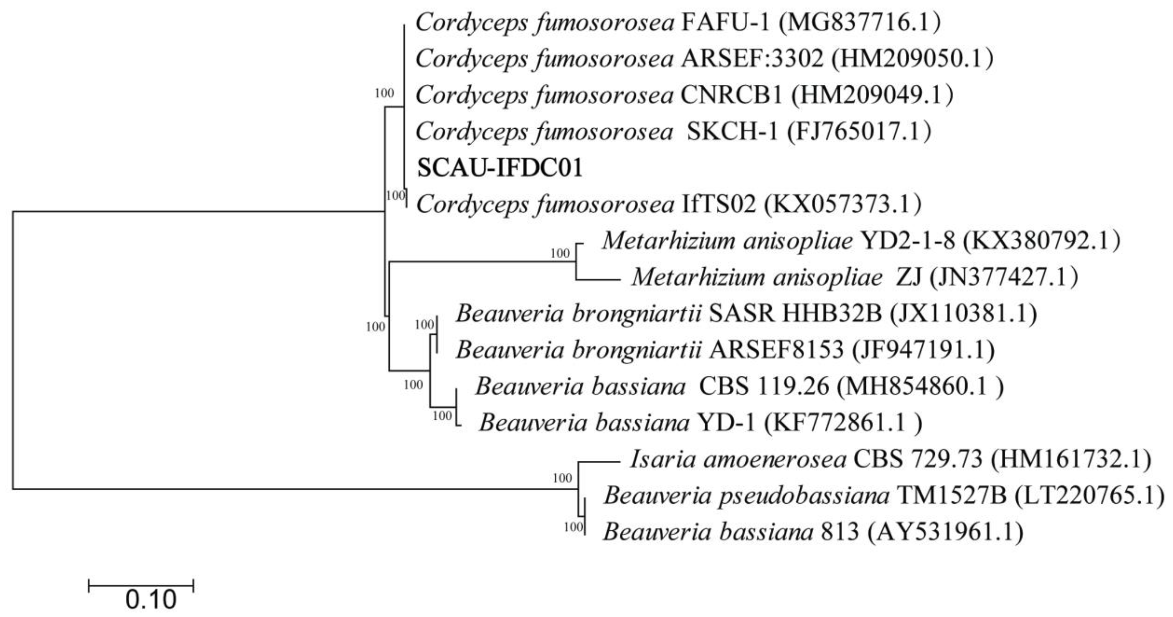 Insects 13 00374 g002