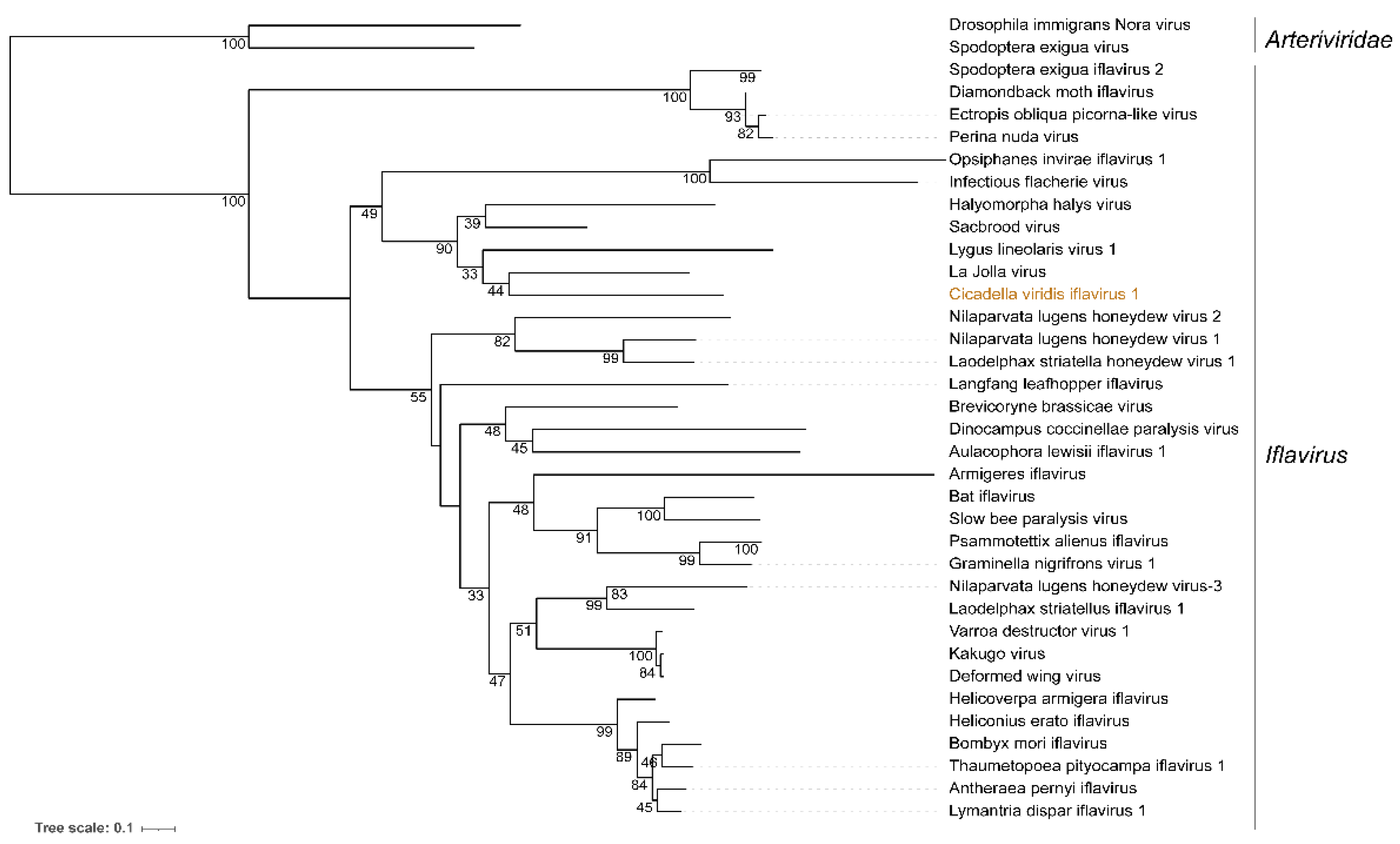 Insects 13 00378 g002