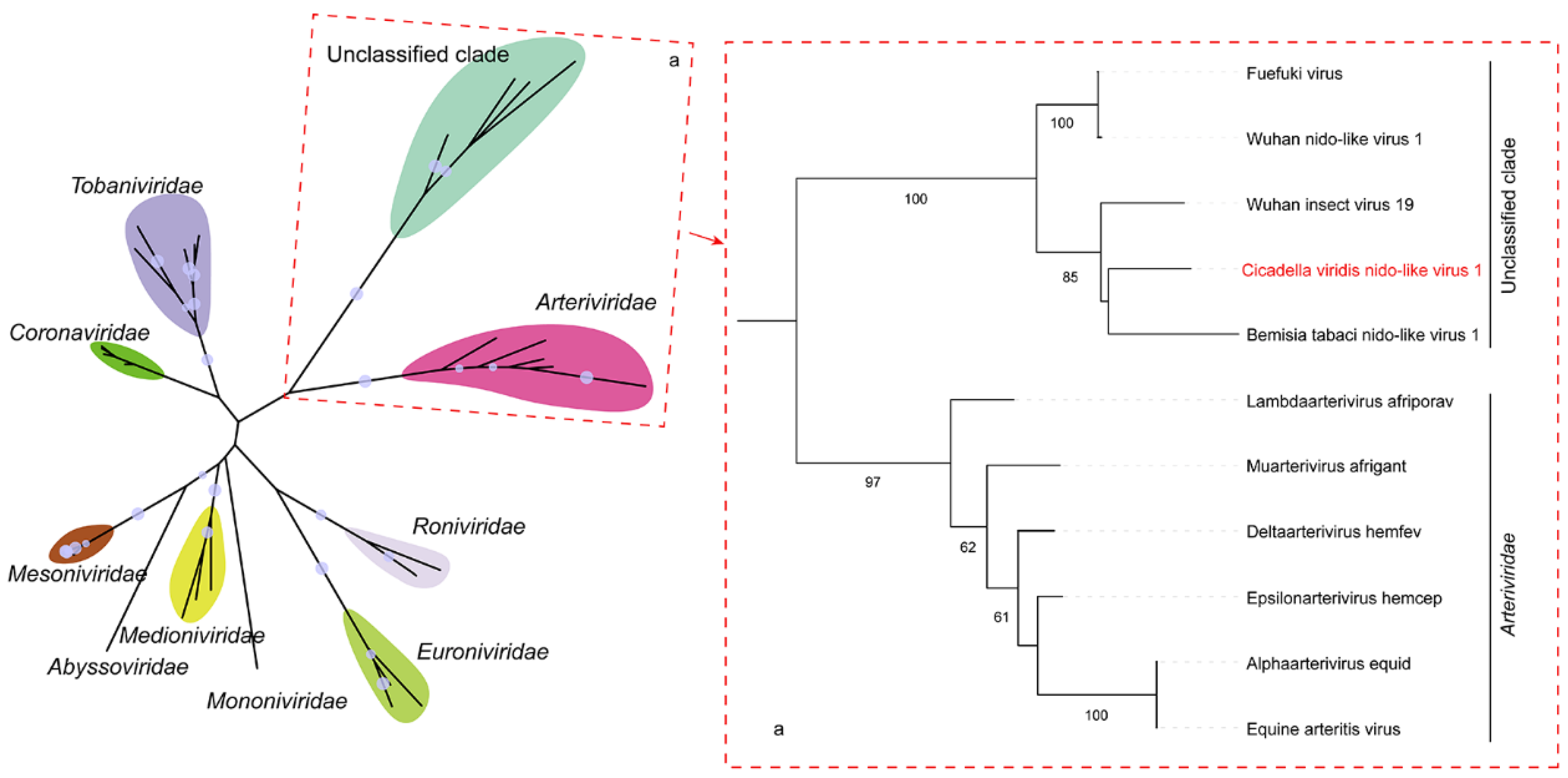 Insects 13 00378 g003