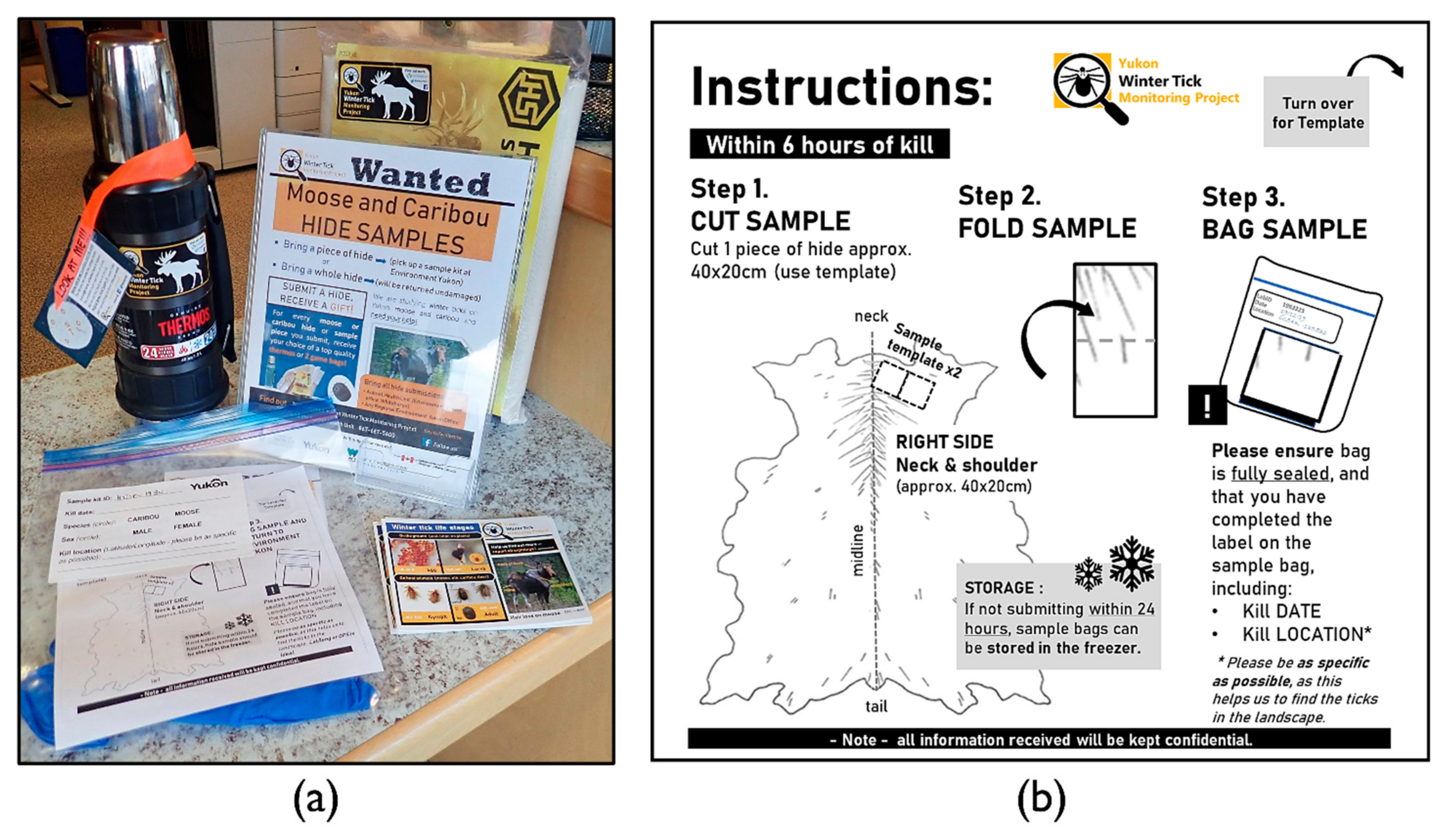 Insects 13 00380 g001