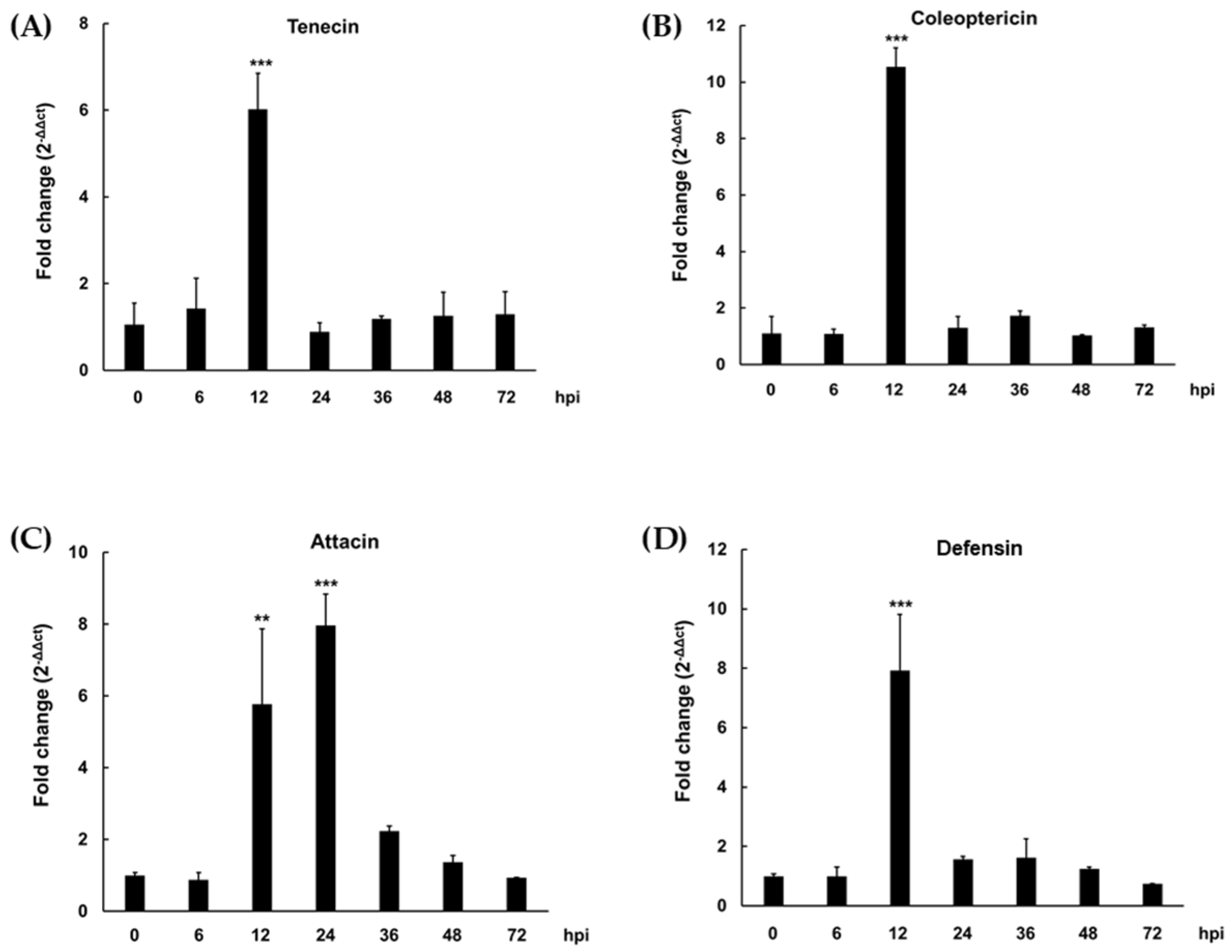 Insects 13 00381 g001
