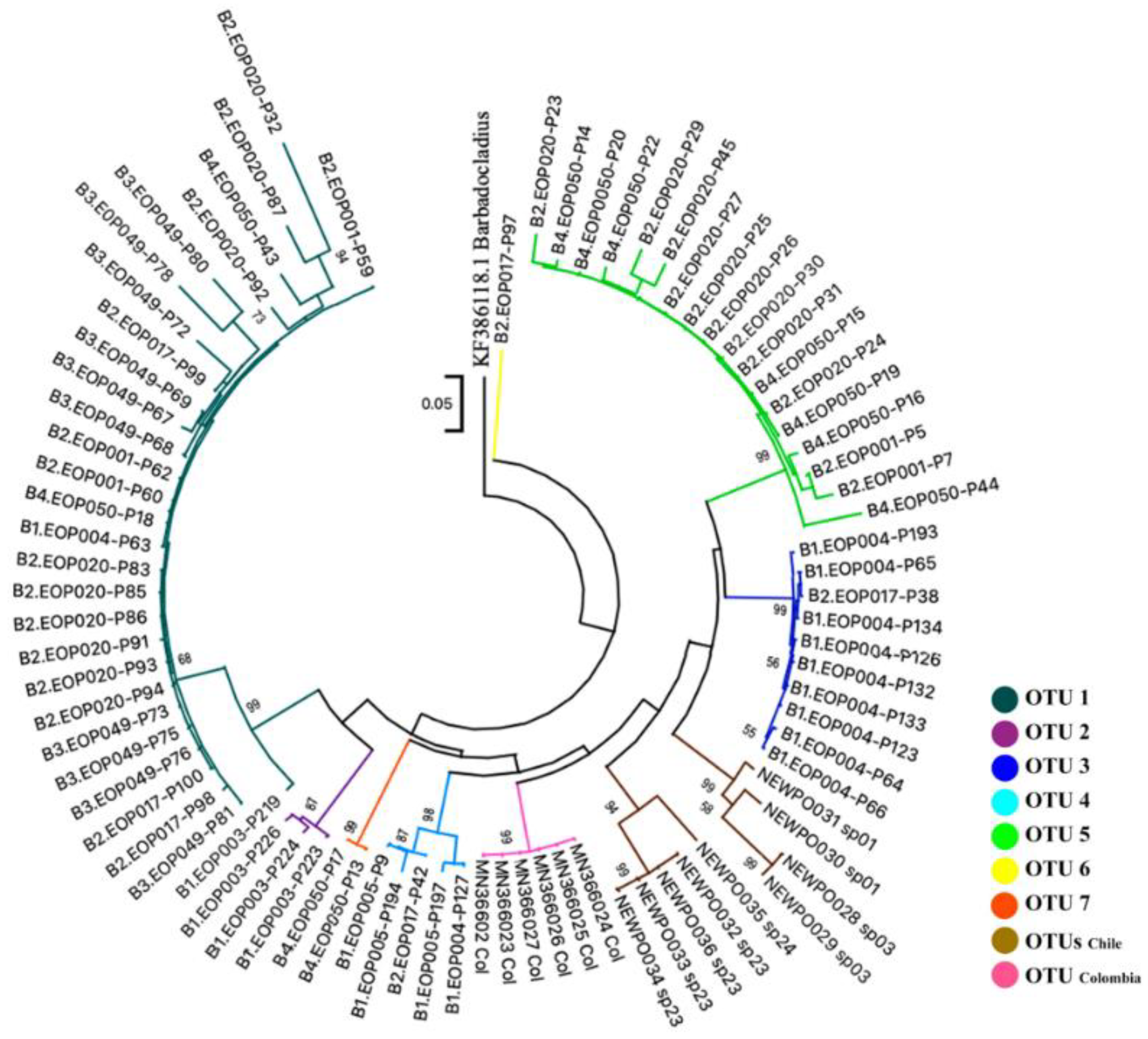 Insects 13 00382 g005