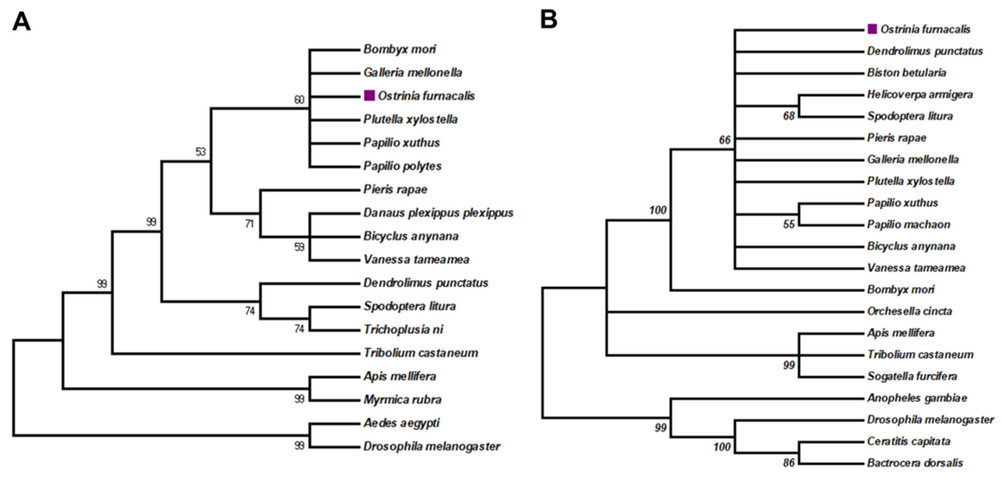 Insects 13 00384 g001 Insects 13 00384 g001
