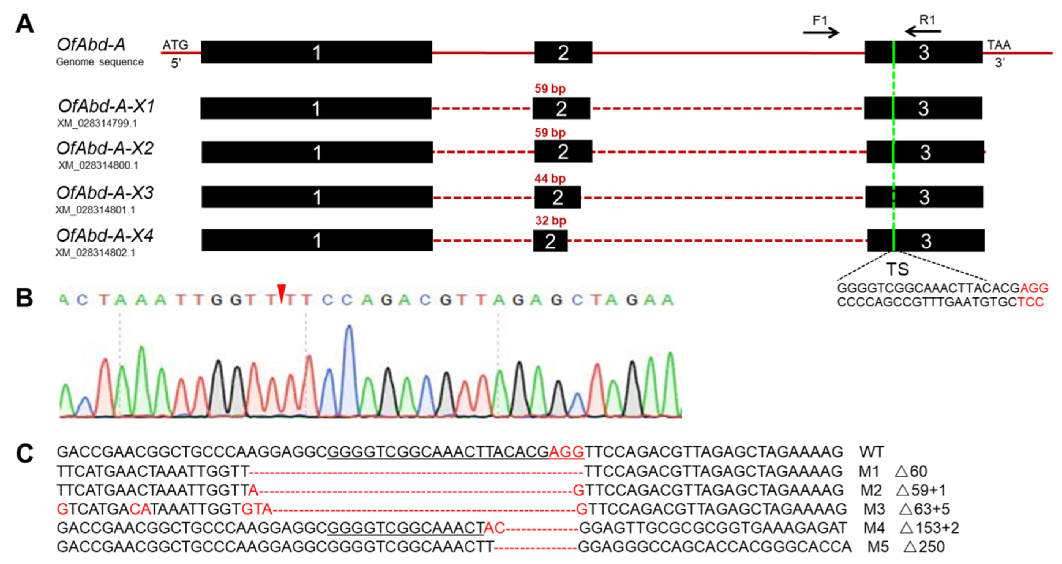 Insects 13 00384 g004 Insects 13 00384 g004