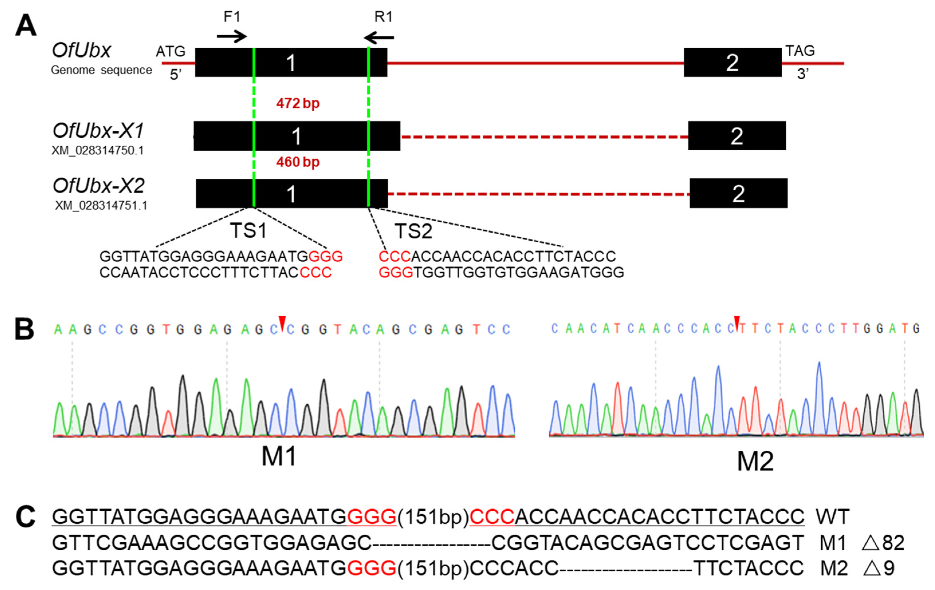 Insects 13 00384 g005 Insects 13 00384 g005