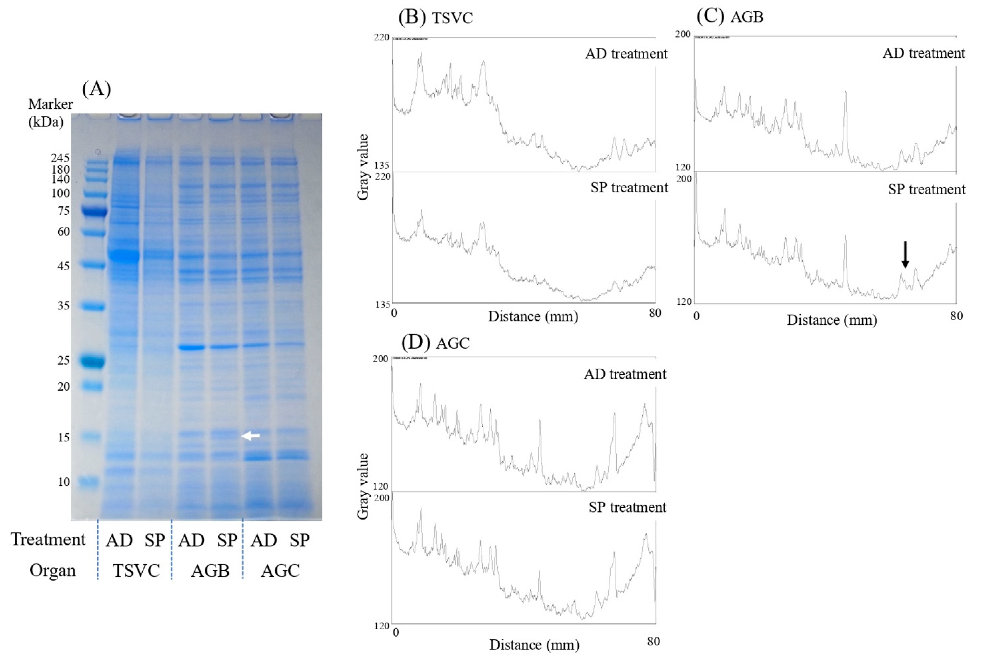 Insects 13 00389 g005