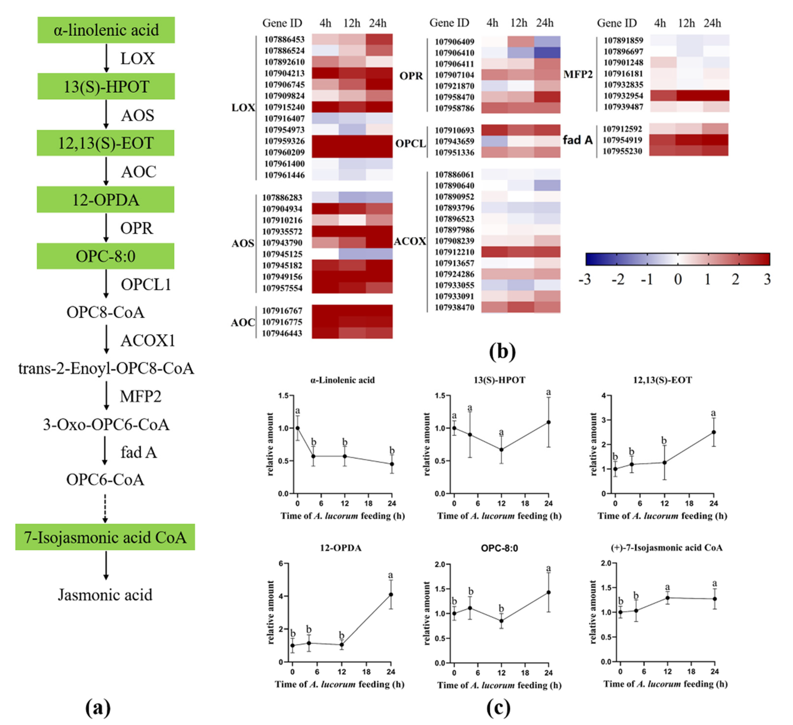 Insects 13 00391 g004