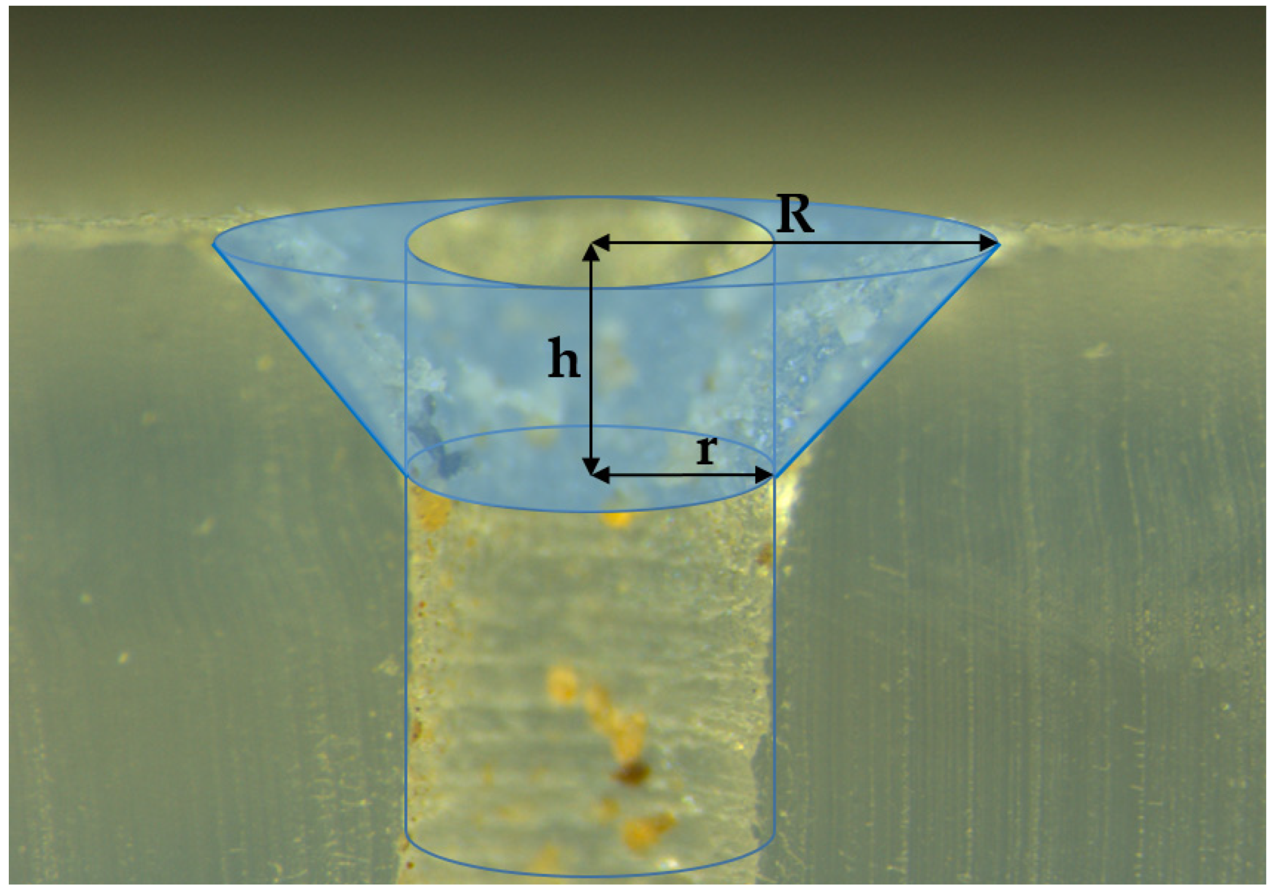 Insects 13 00395 g003