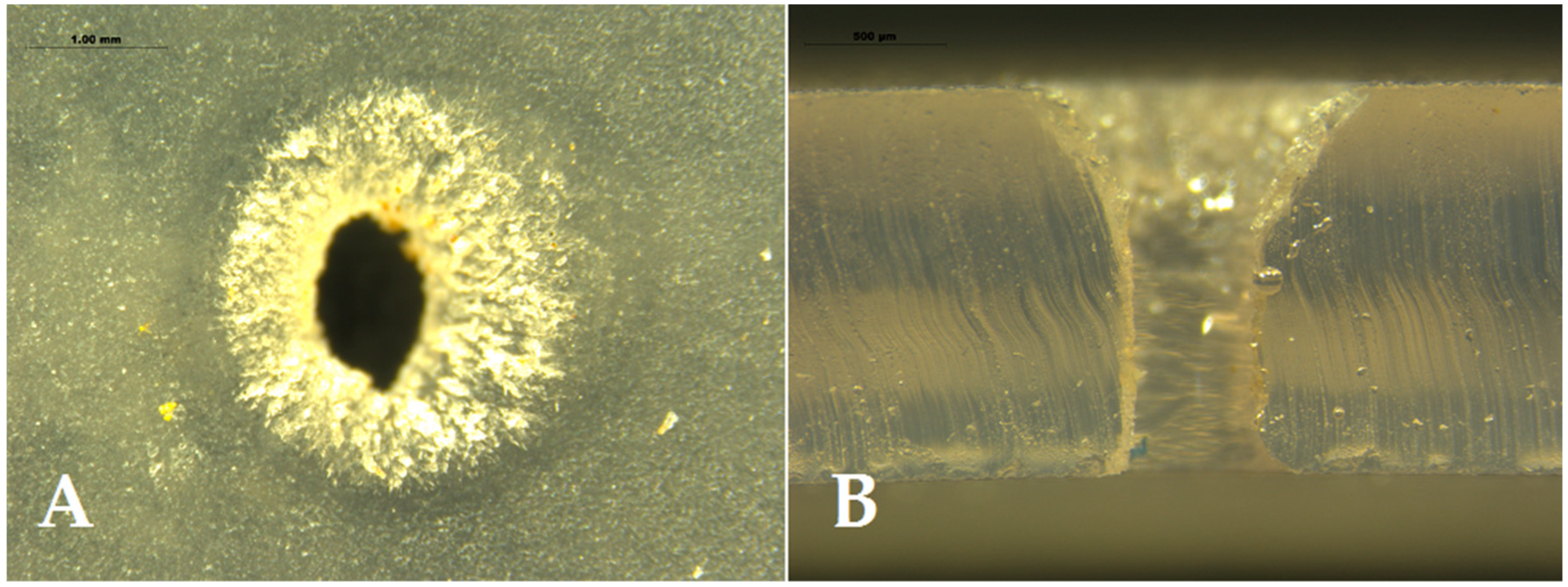 Insects 13 00395 g009