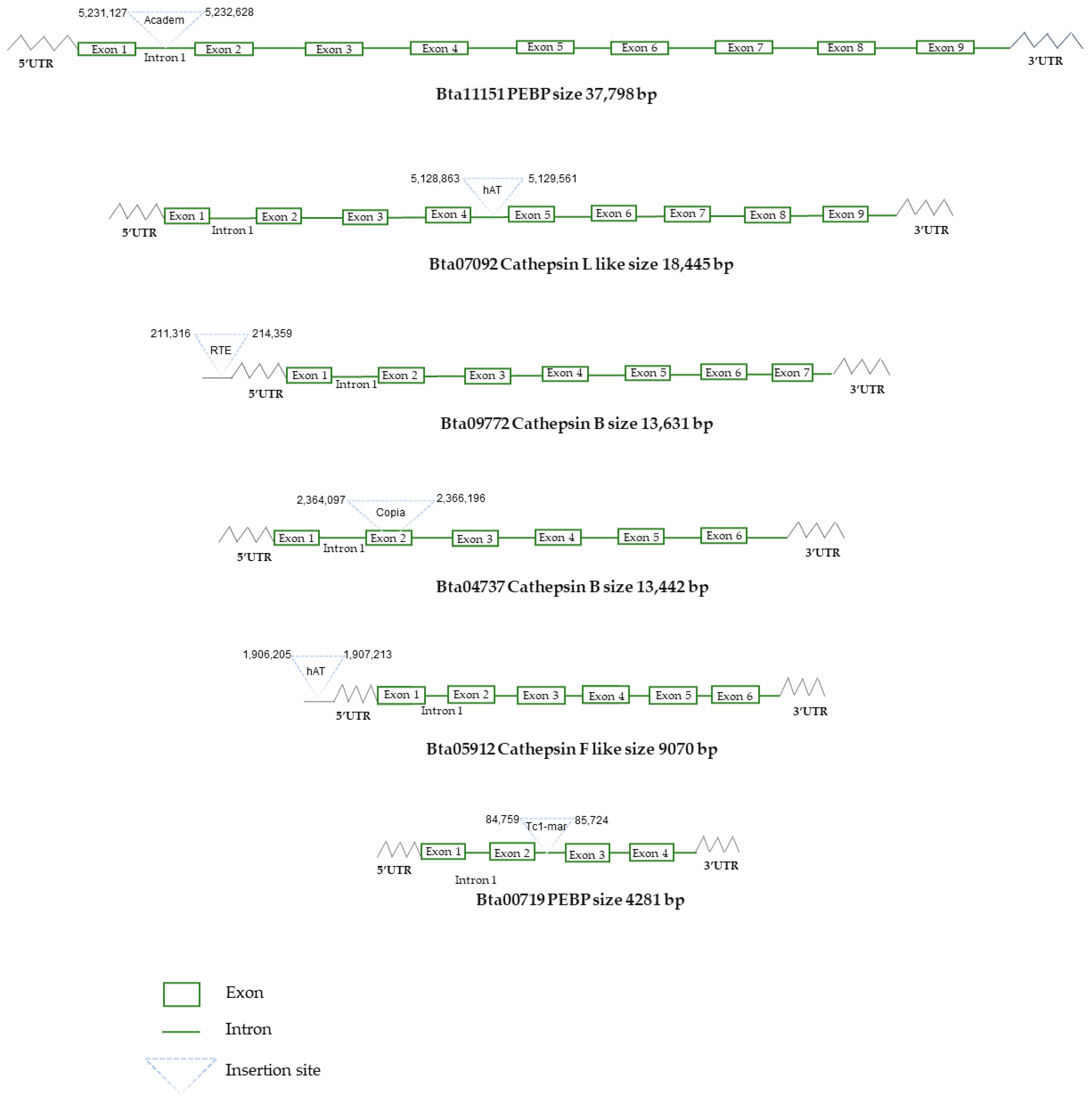 Insects 13 00396 g004