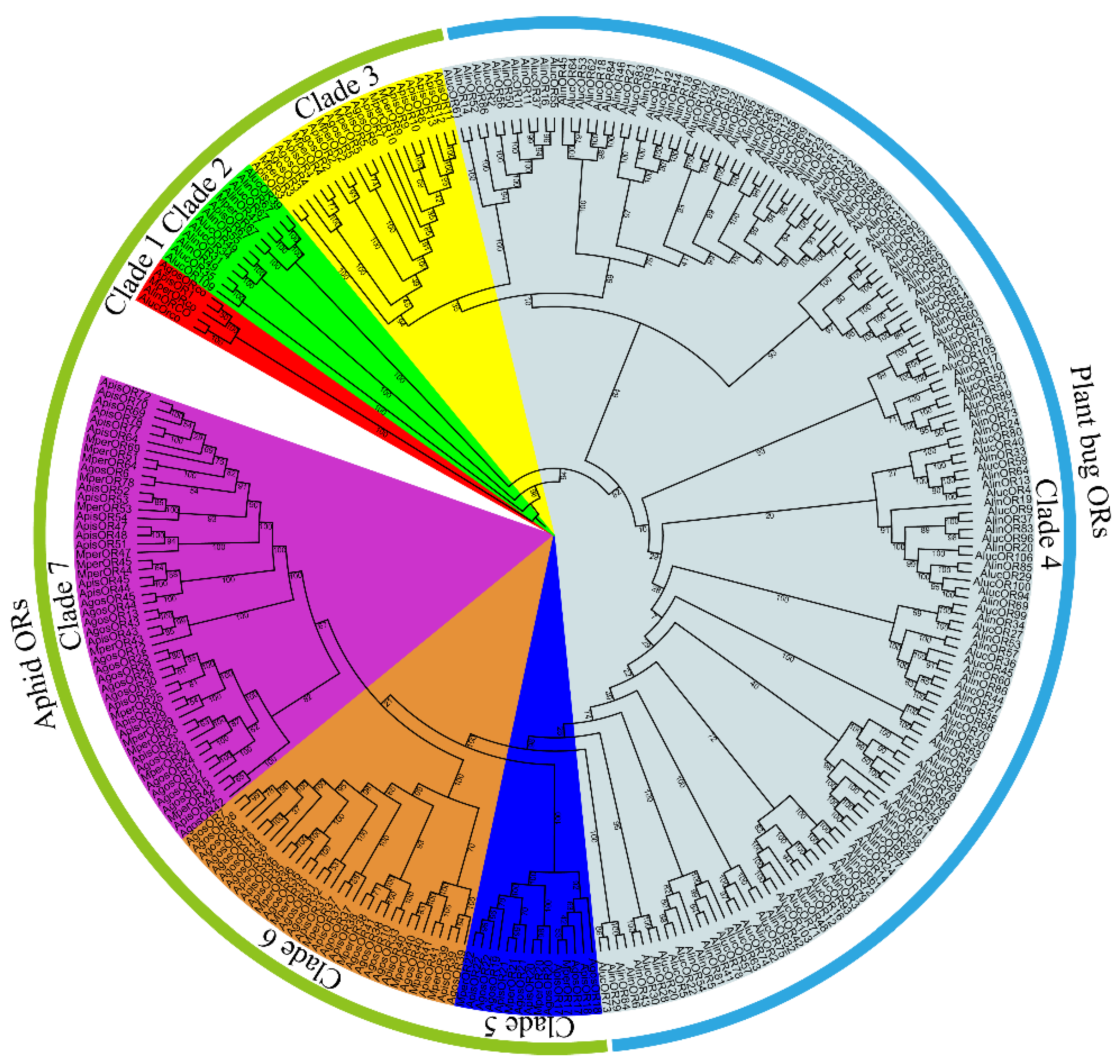 Insects 13 00398 g001