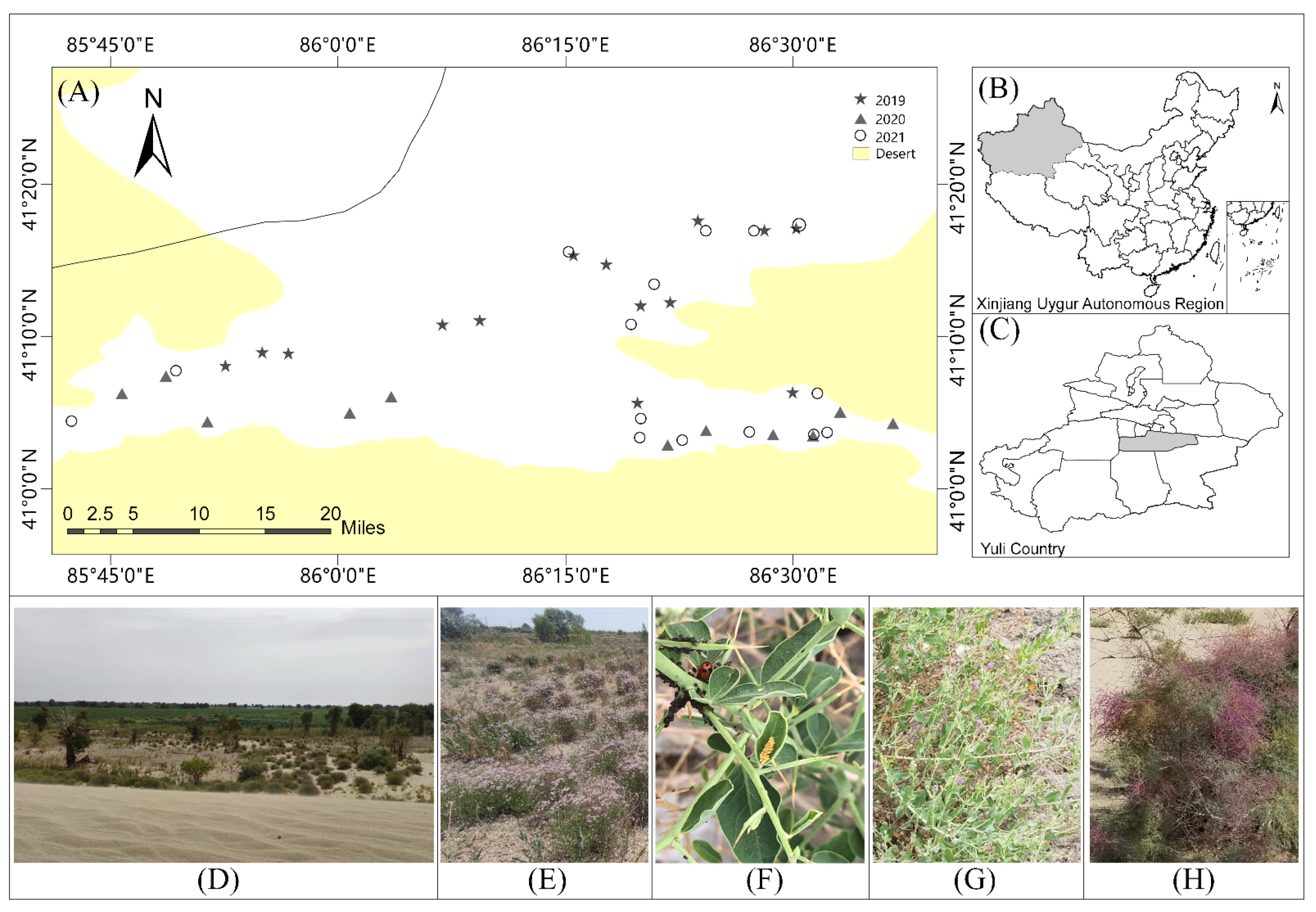 Insects 13 00399 g001