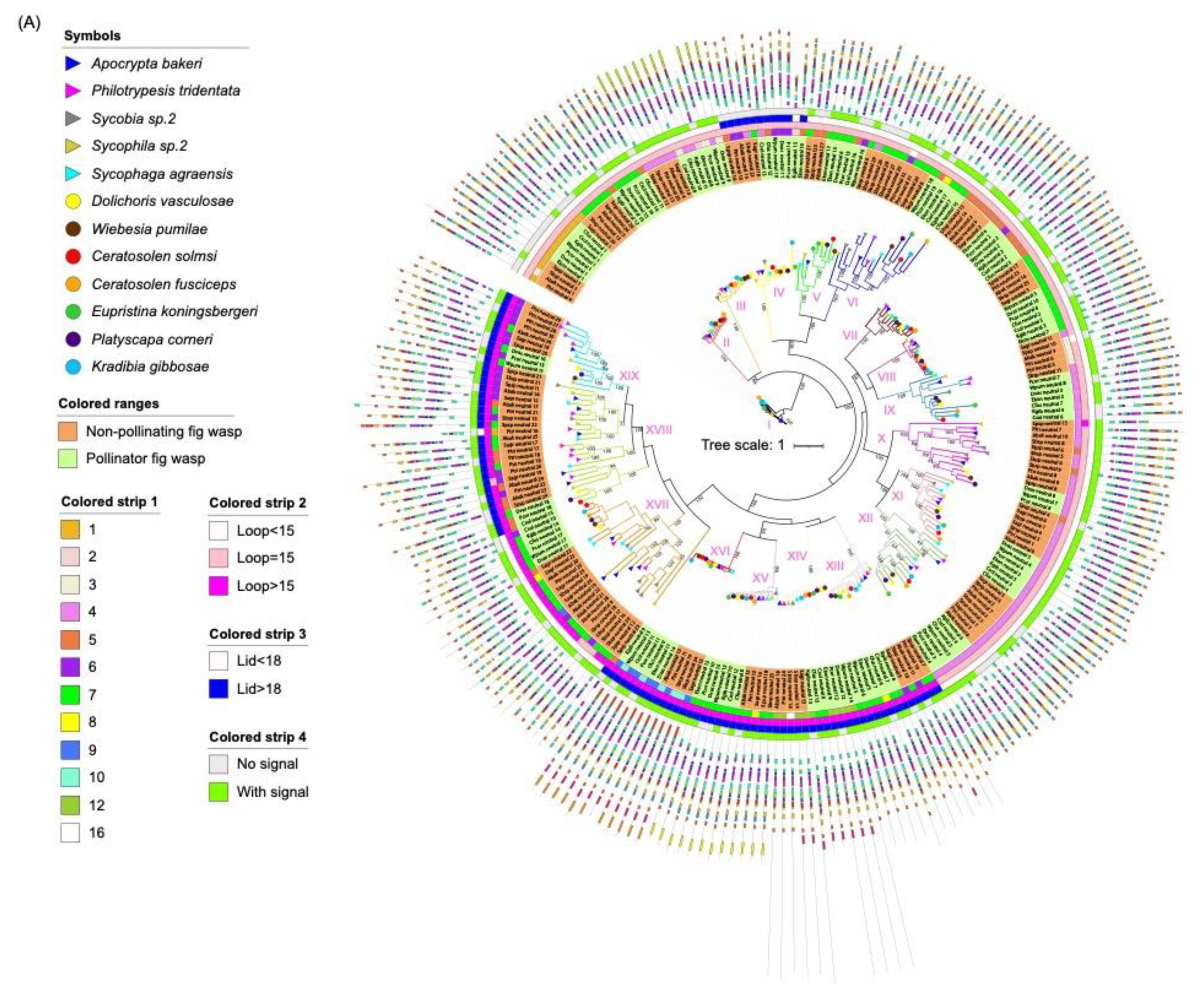 Insects 13 00407 g003a