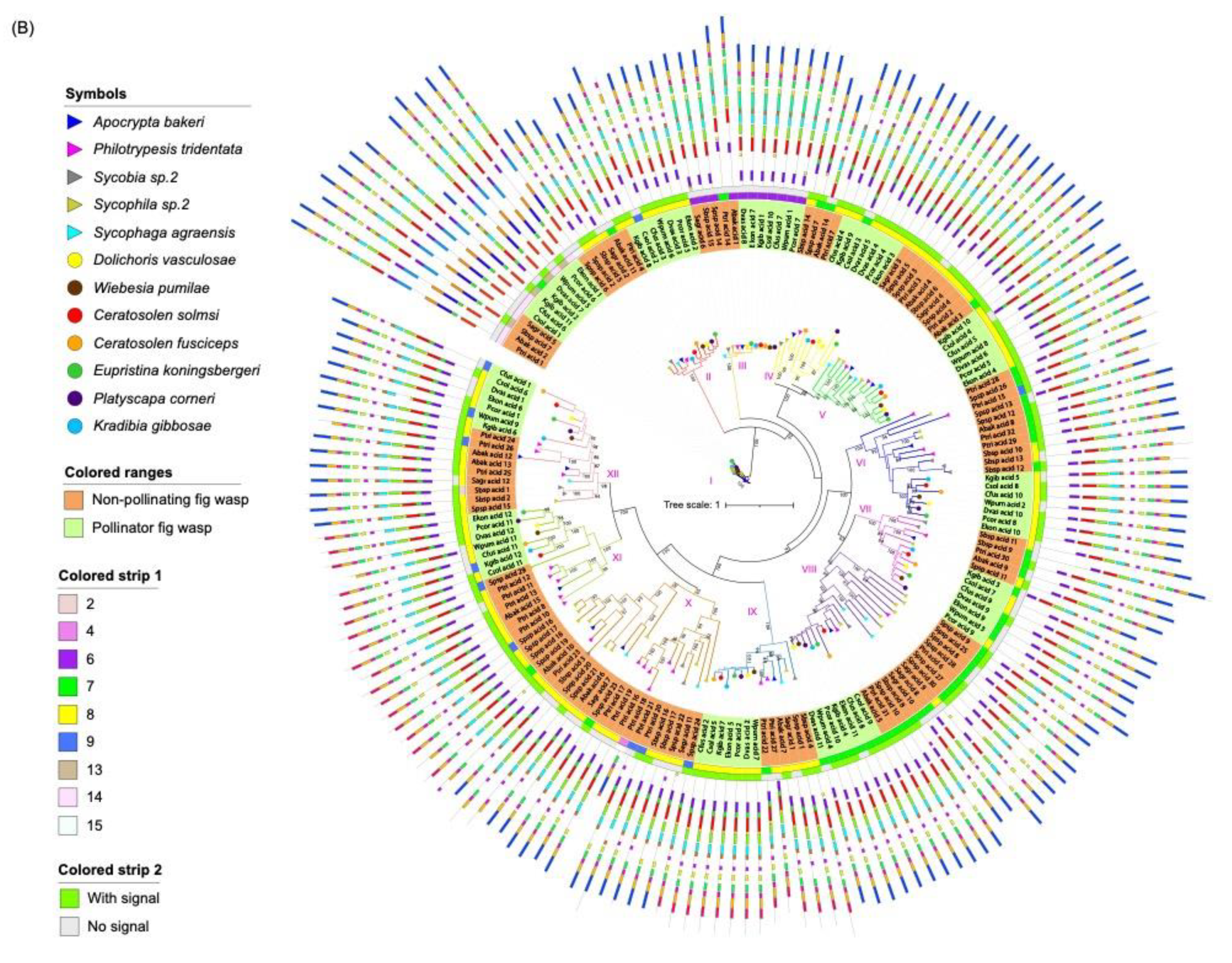 Insects 13 00407 g003b