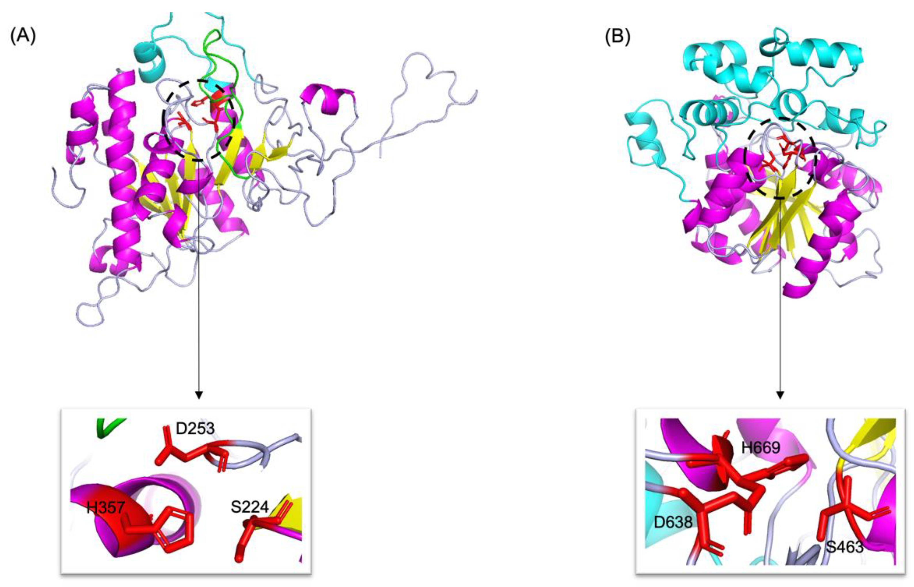 Insects 13 00407 g005