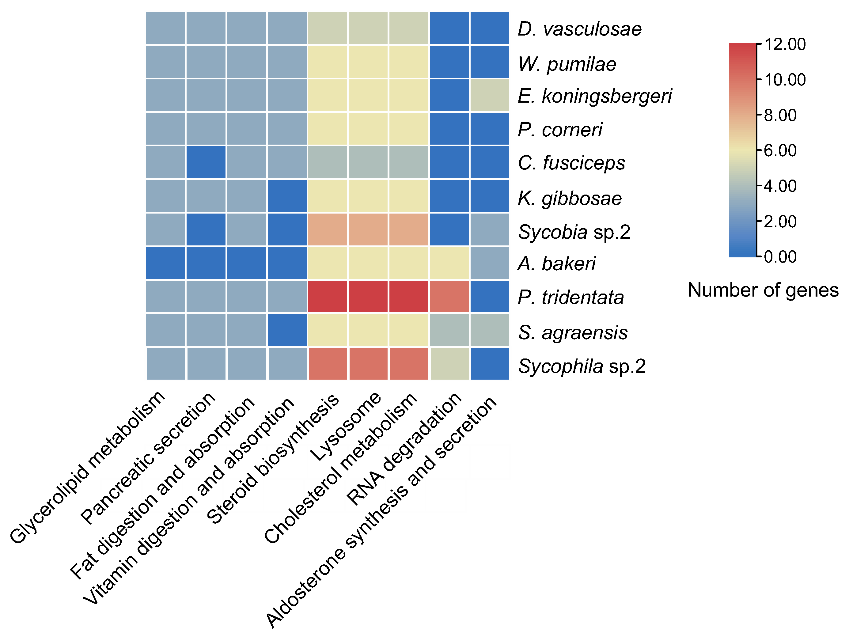 Insects 13 00407 g006