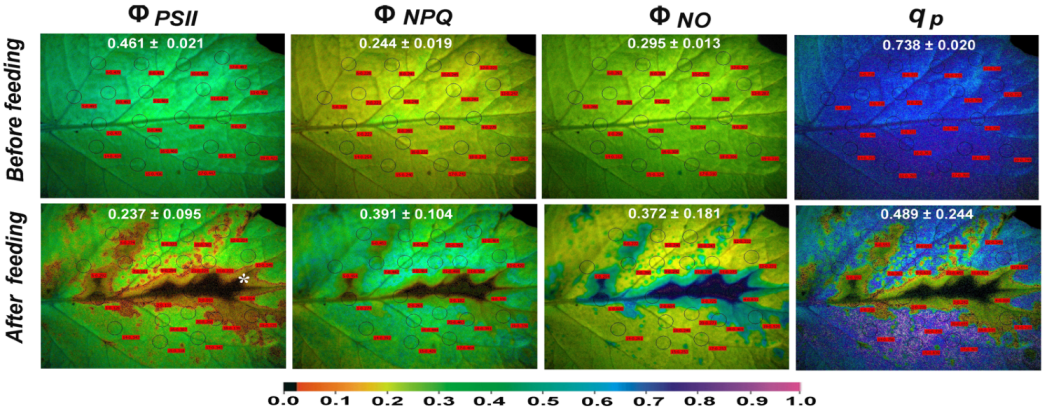 Insects 13 00409 g005 Insects 13 00409 g005