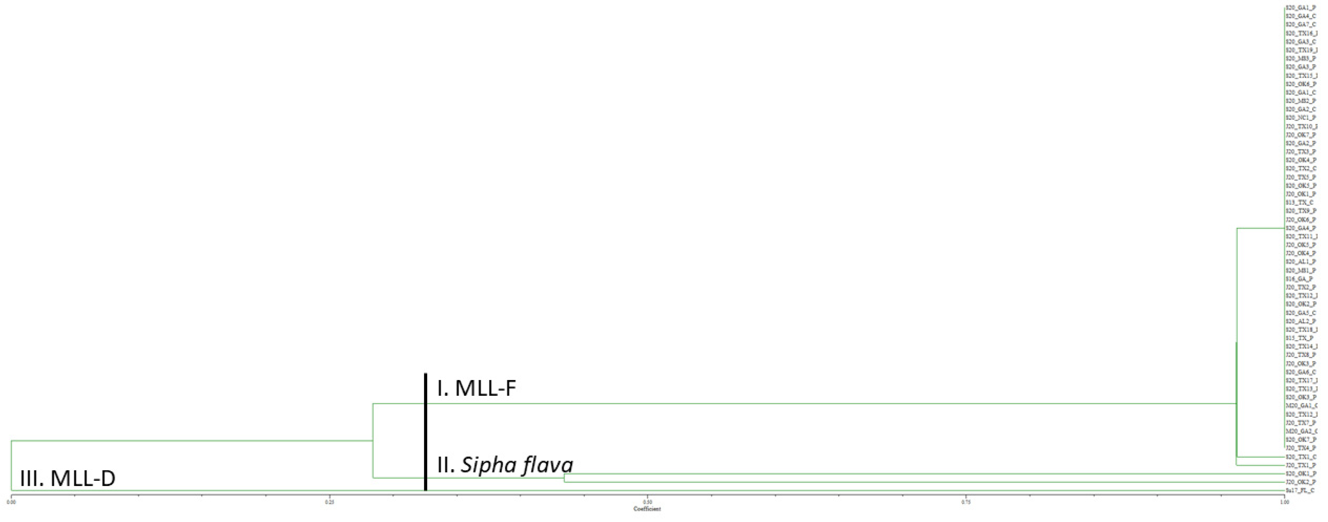 Insects 13 00416 g002