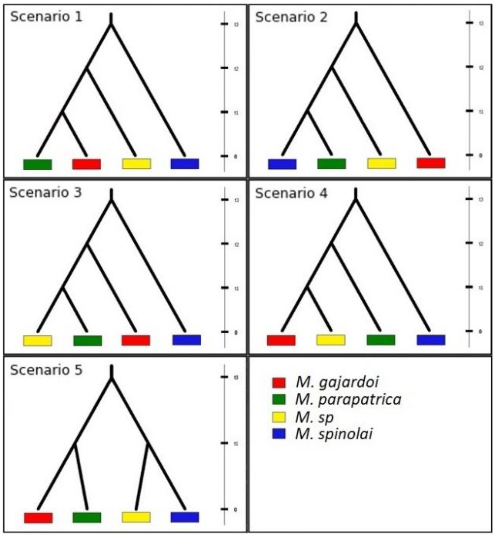 Insects 13 00419 g002