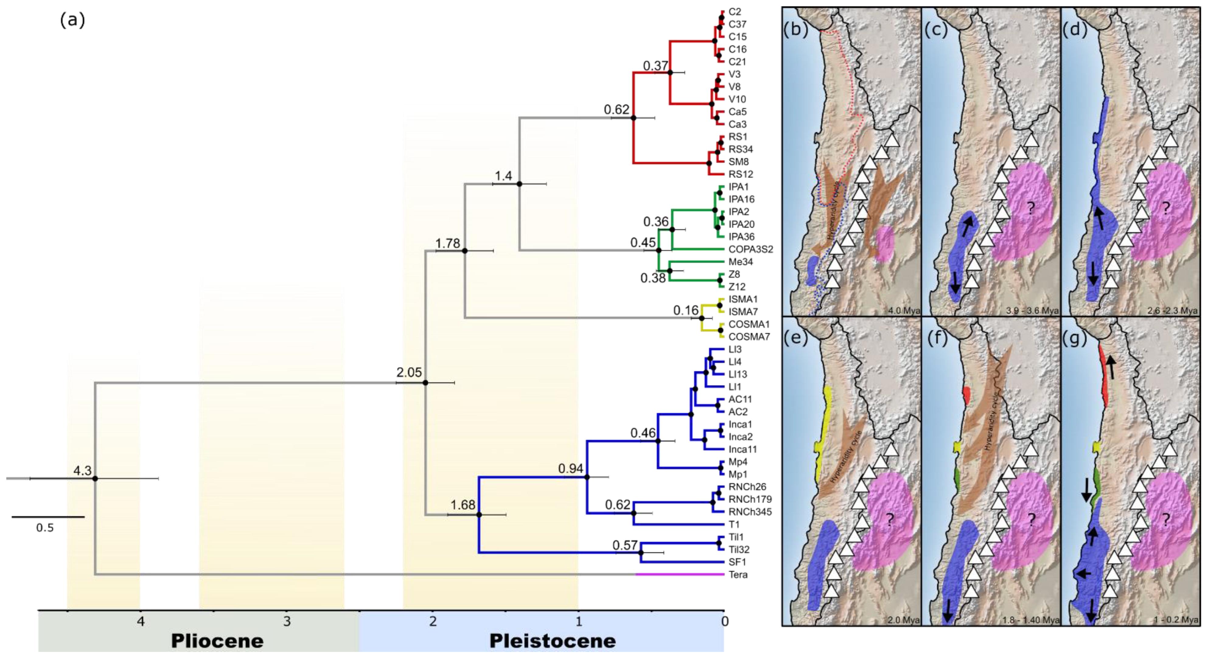 Insects 13 00419 g003