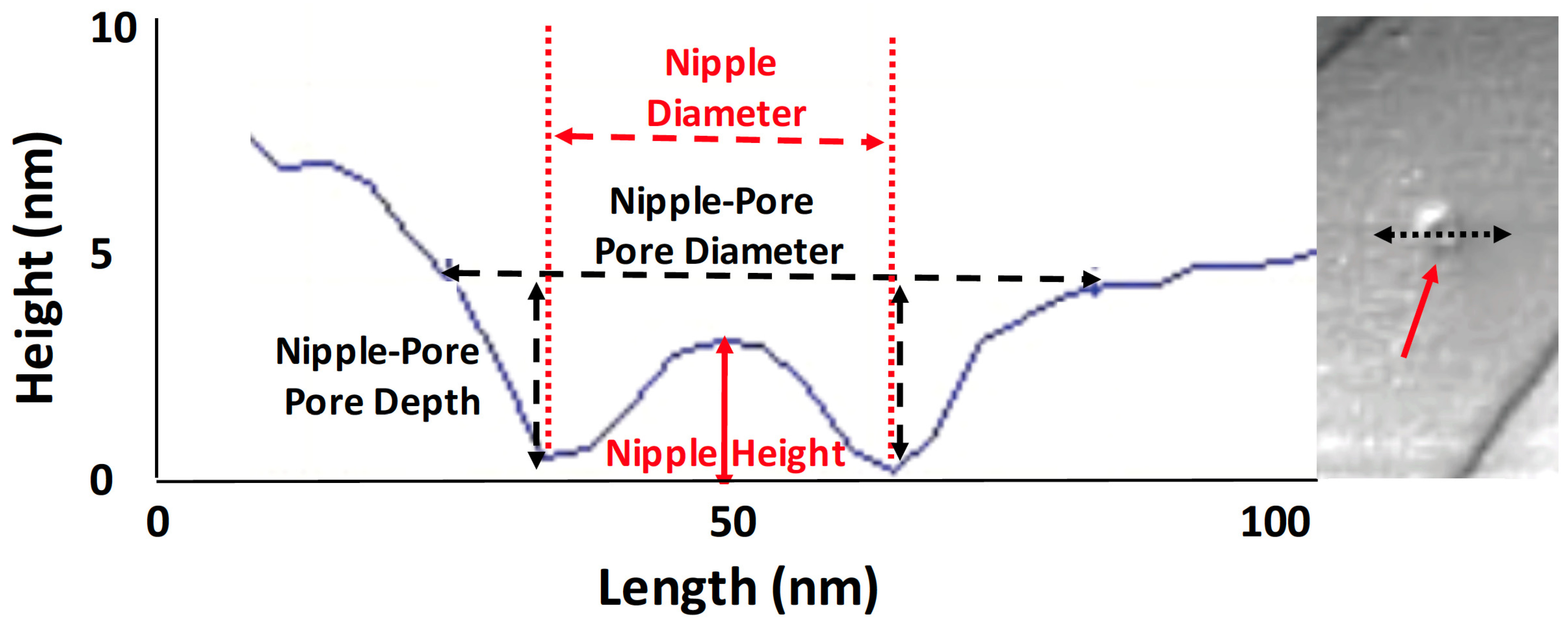 Insects 13 00423 g002