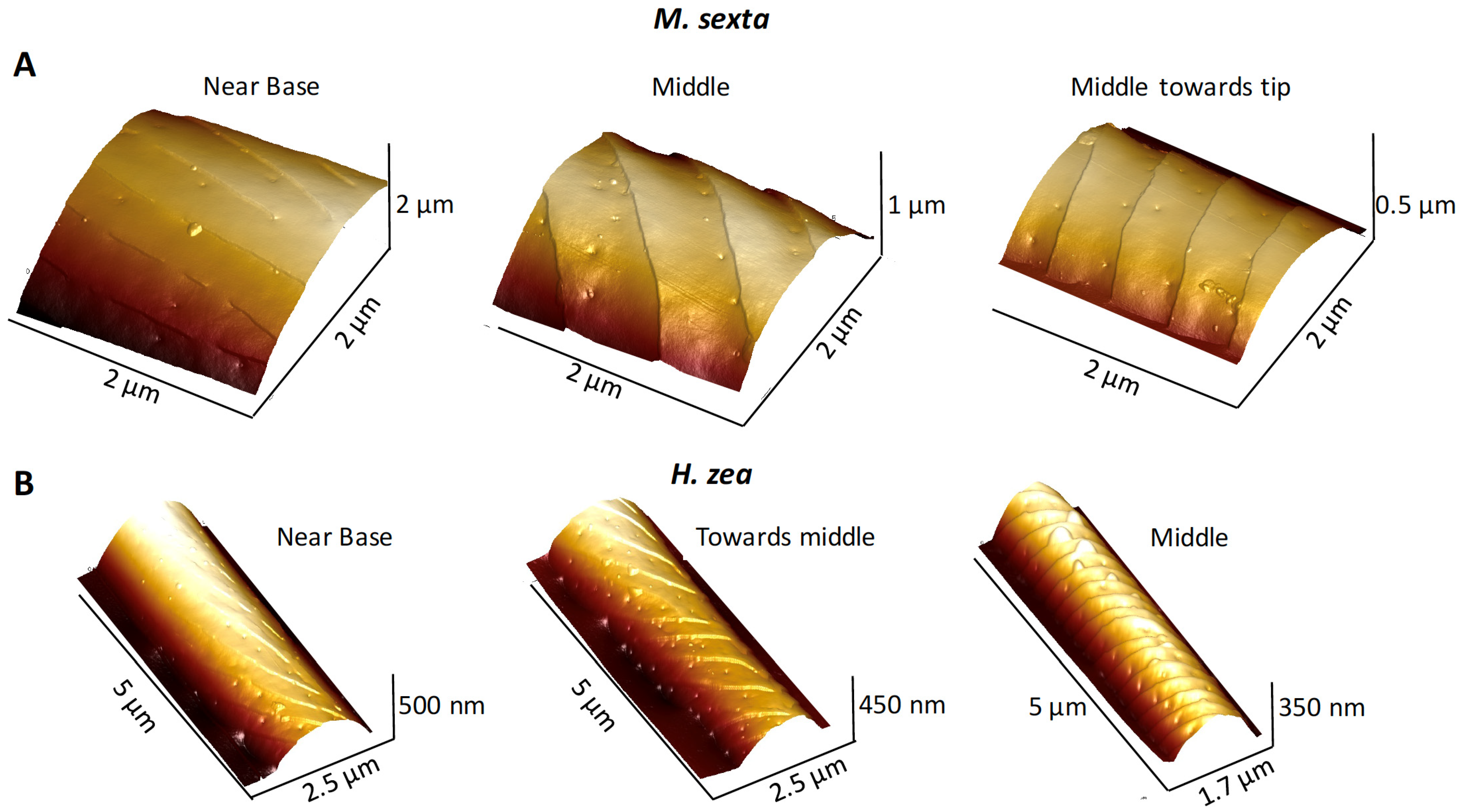 Insects 13 00423 g005
