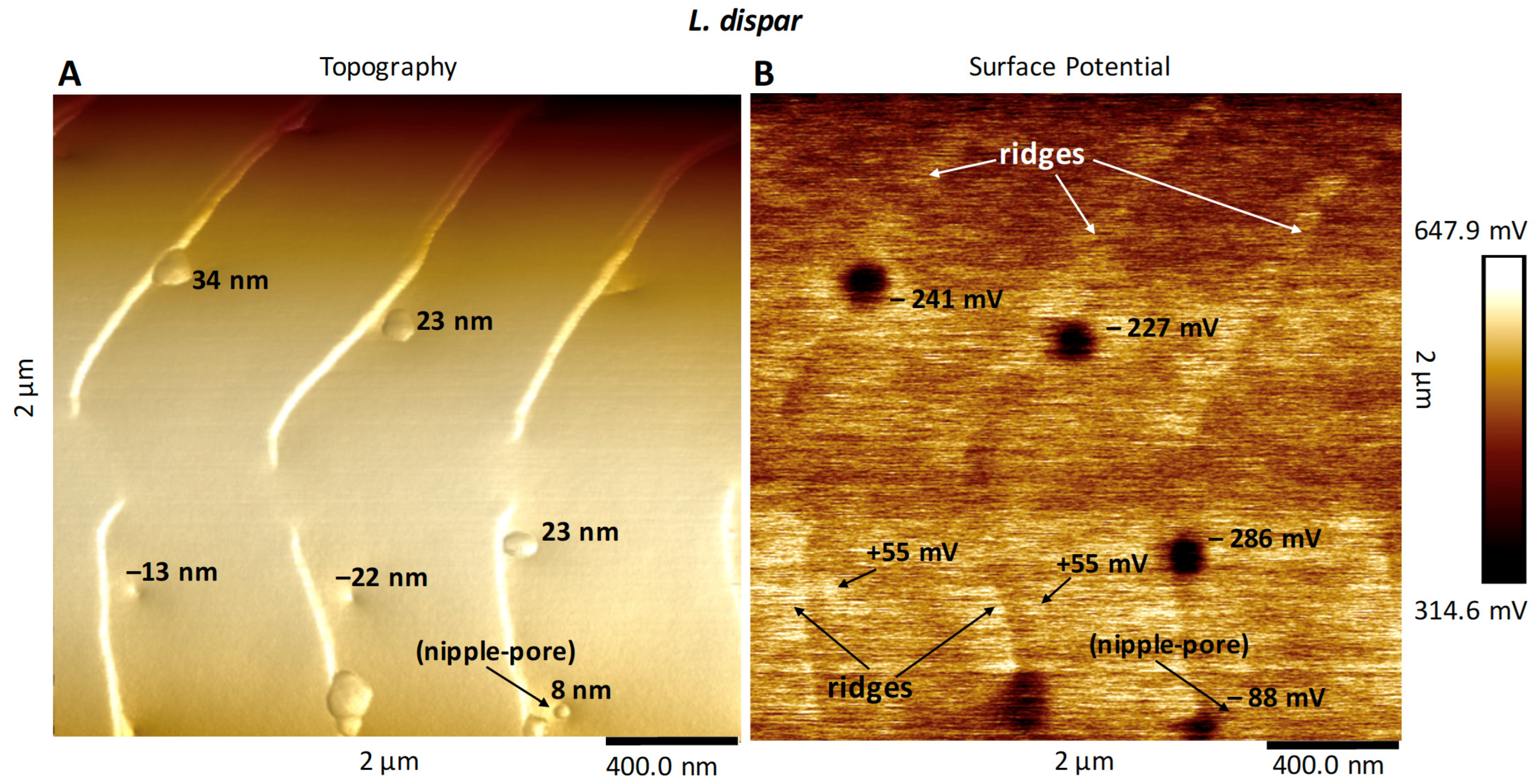 Insects 13 00423 g007