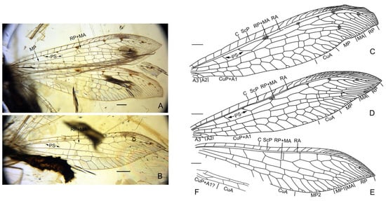 Insects 13 00429 g003 550