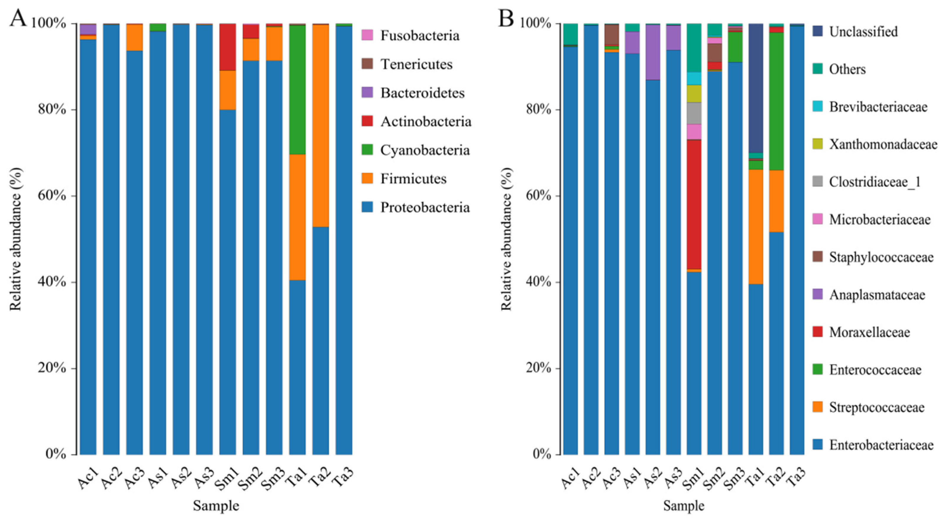 Insects 13 00432 g003
