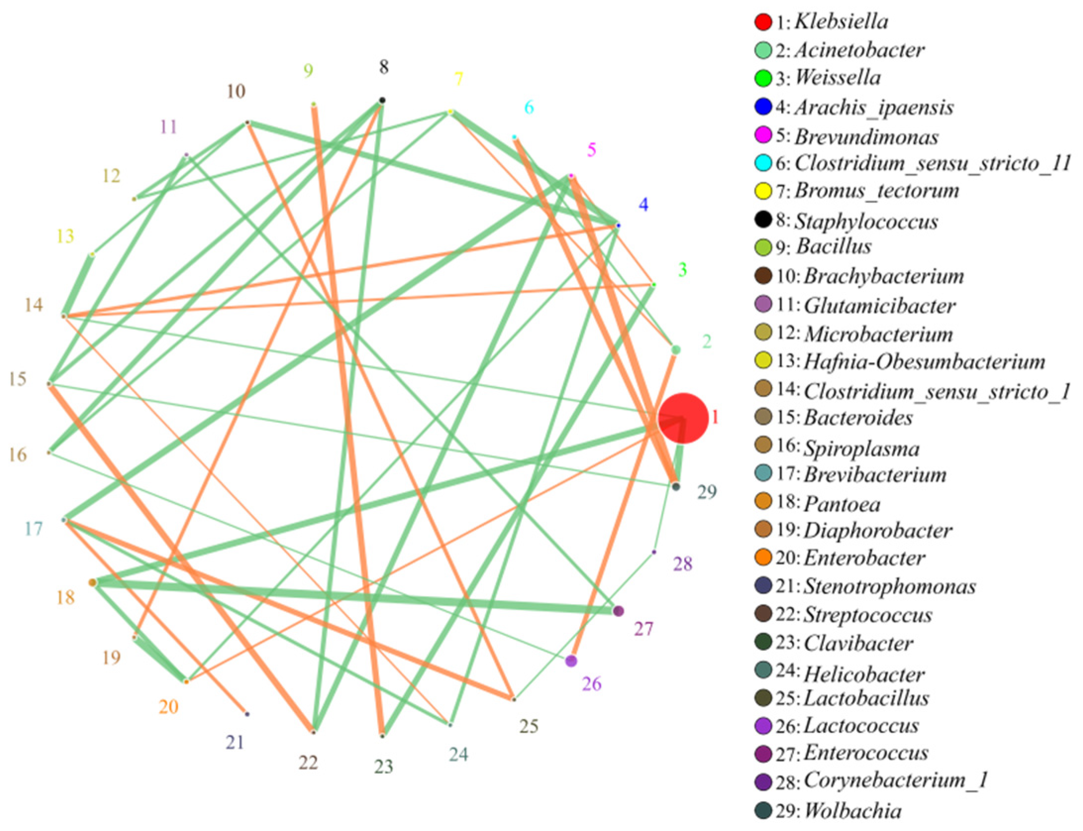 Insects 13 00432 g008