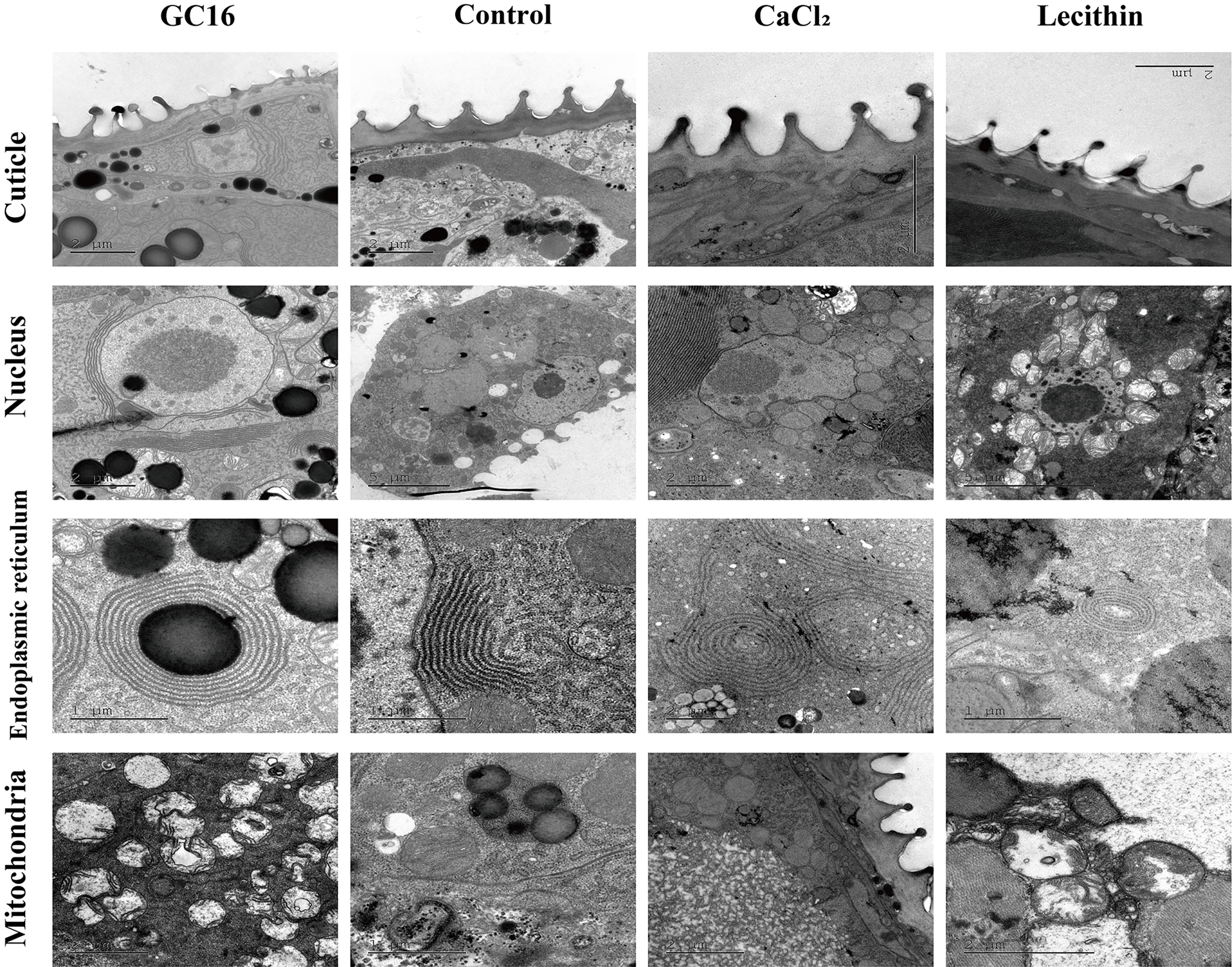 Insects 13 00433 g006 Insects 13 00433 g006