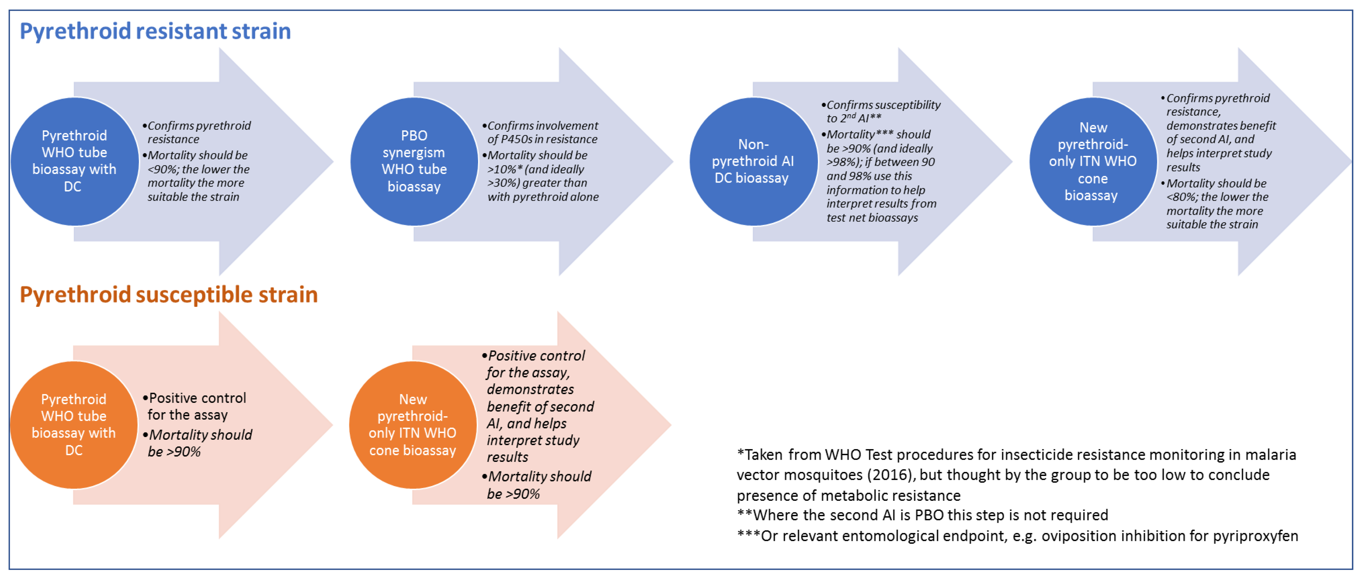 Insects 13 00434 g001