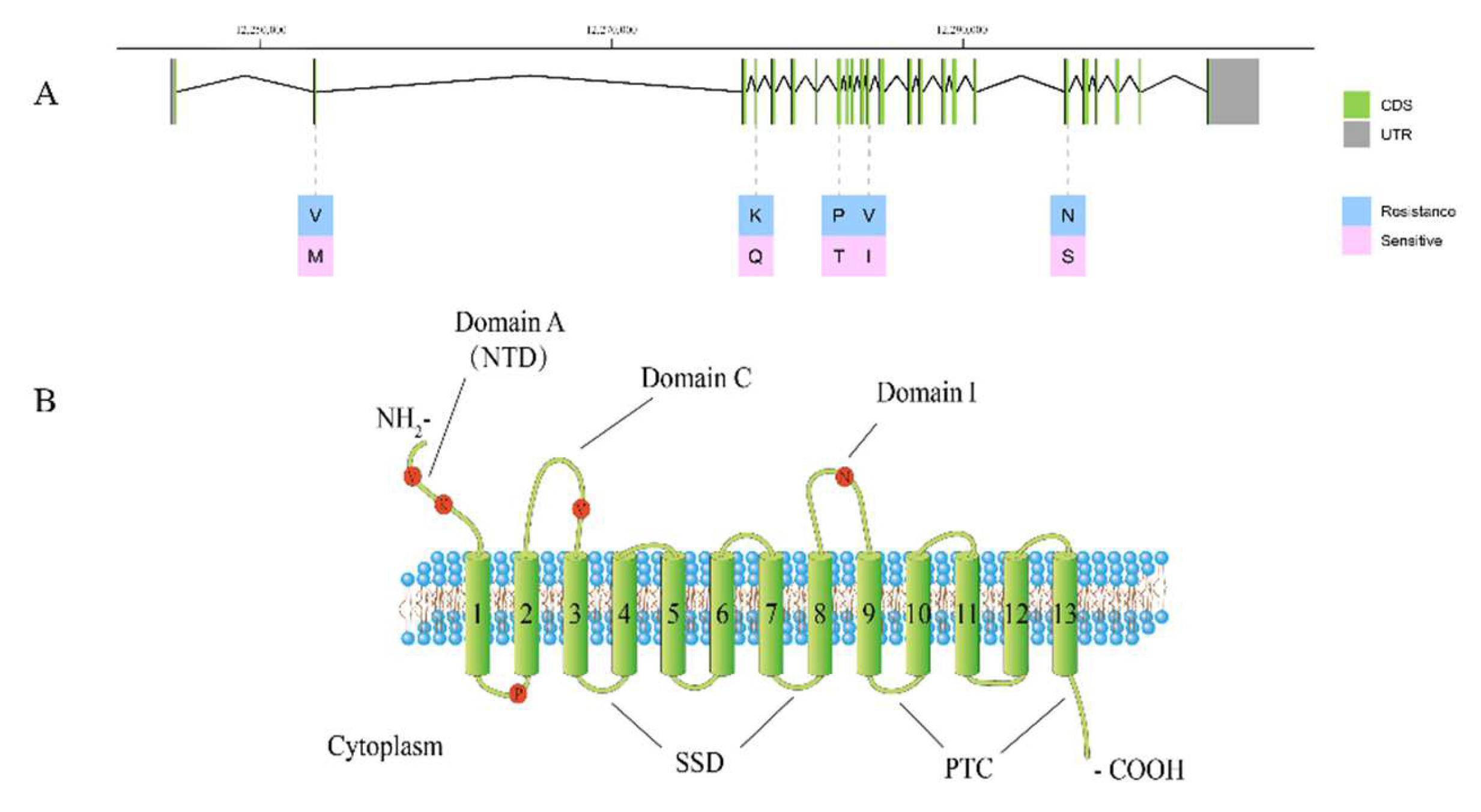 Insects 13 00435 g002