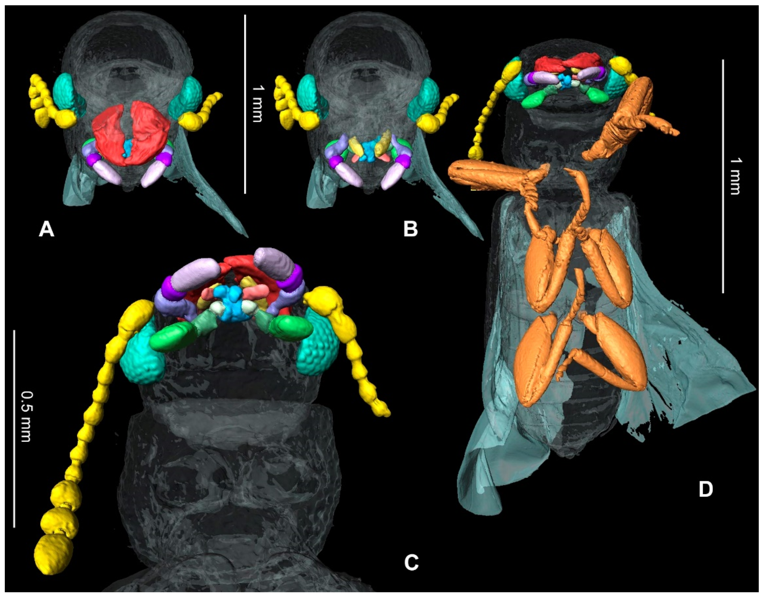 Insects 13 00438 g003